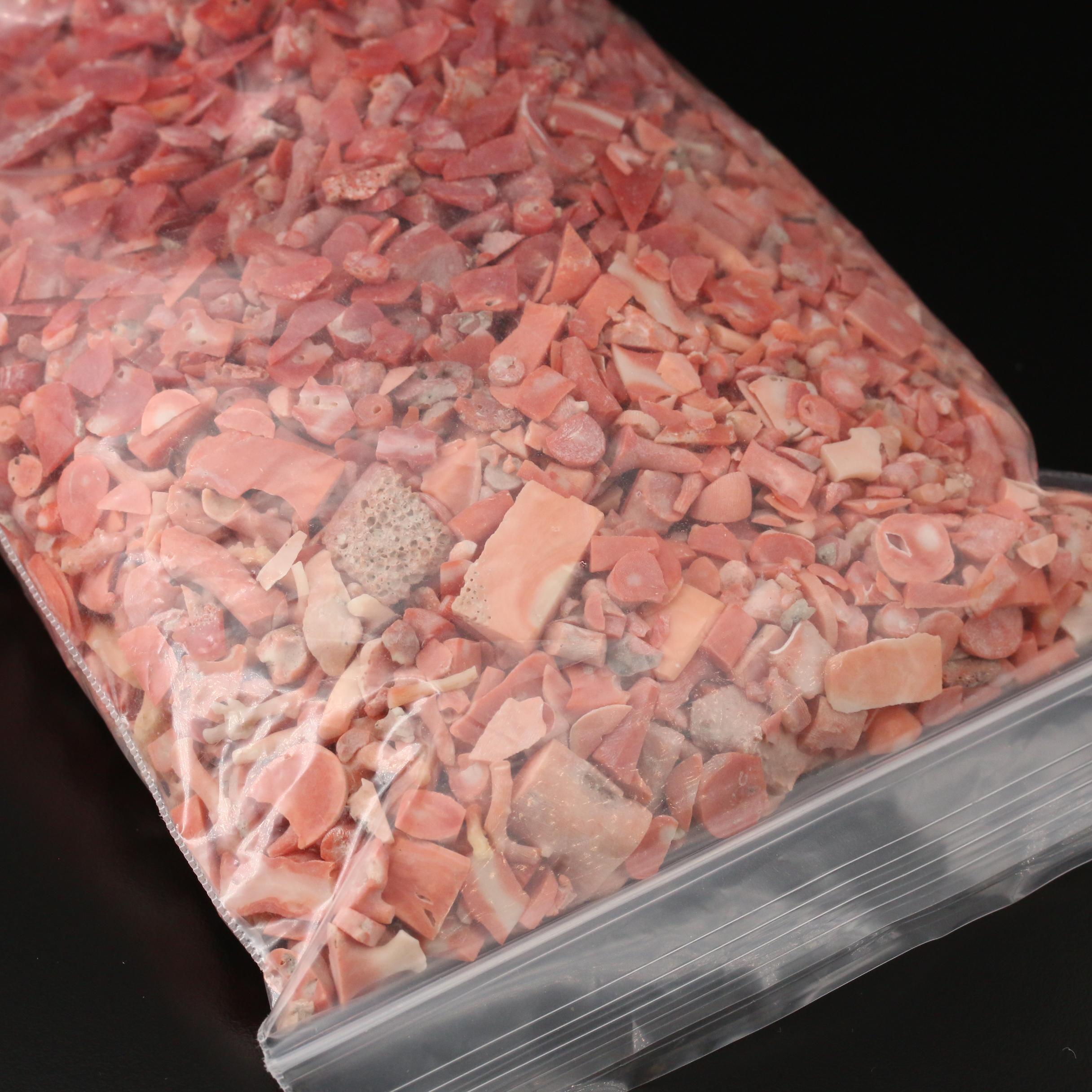 Loose Rough Pieces of Coral