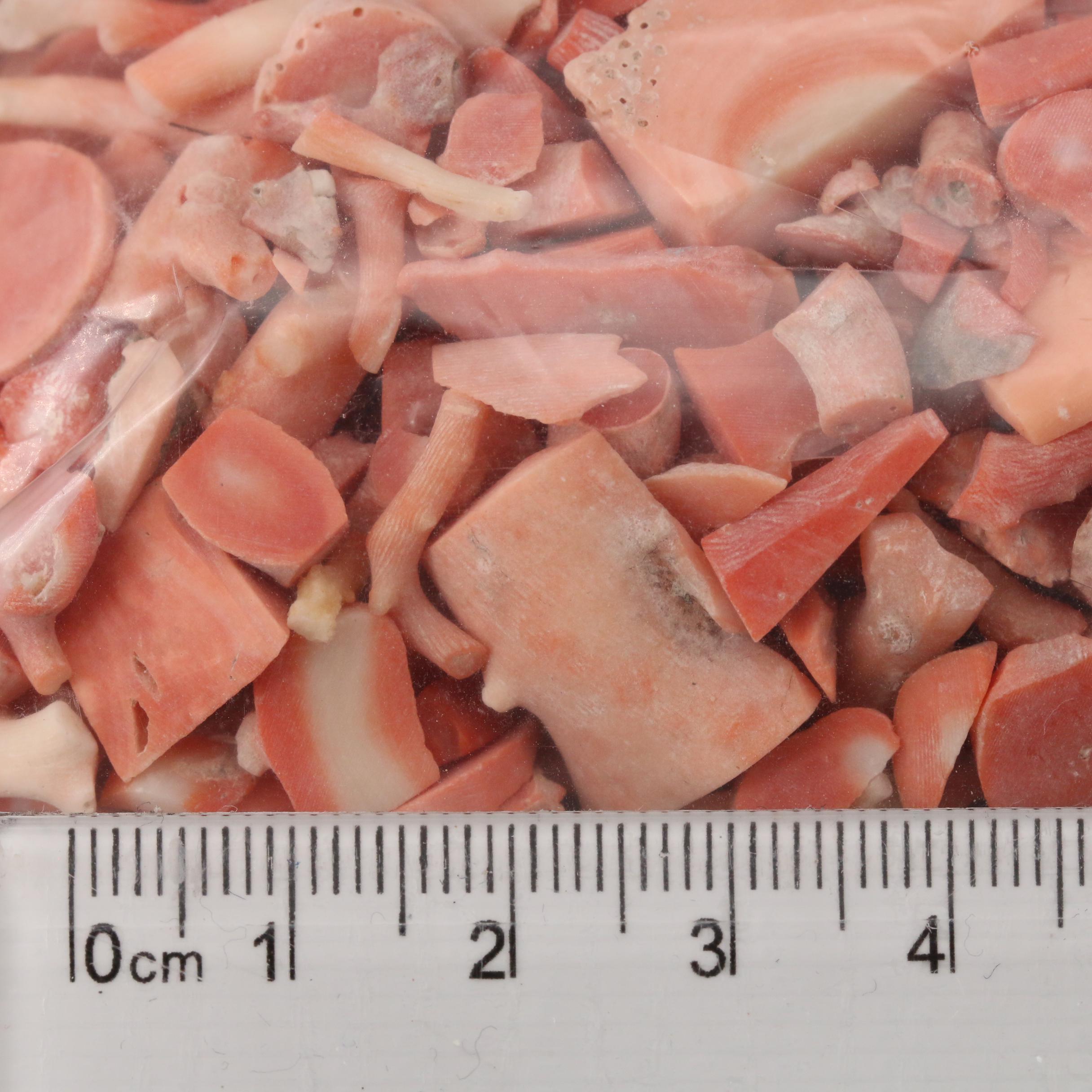 Loose Rough Pieces of Coral