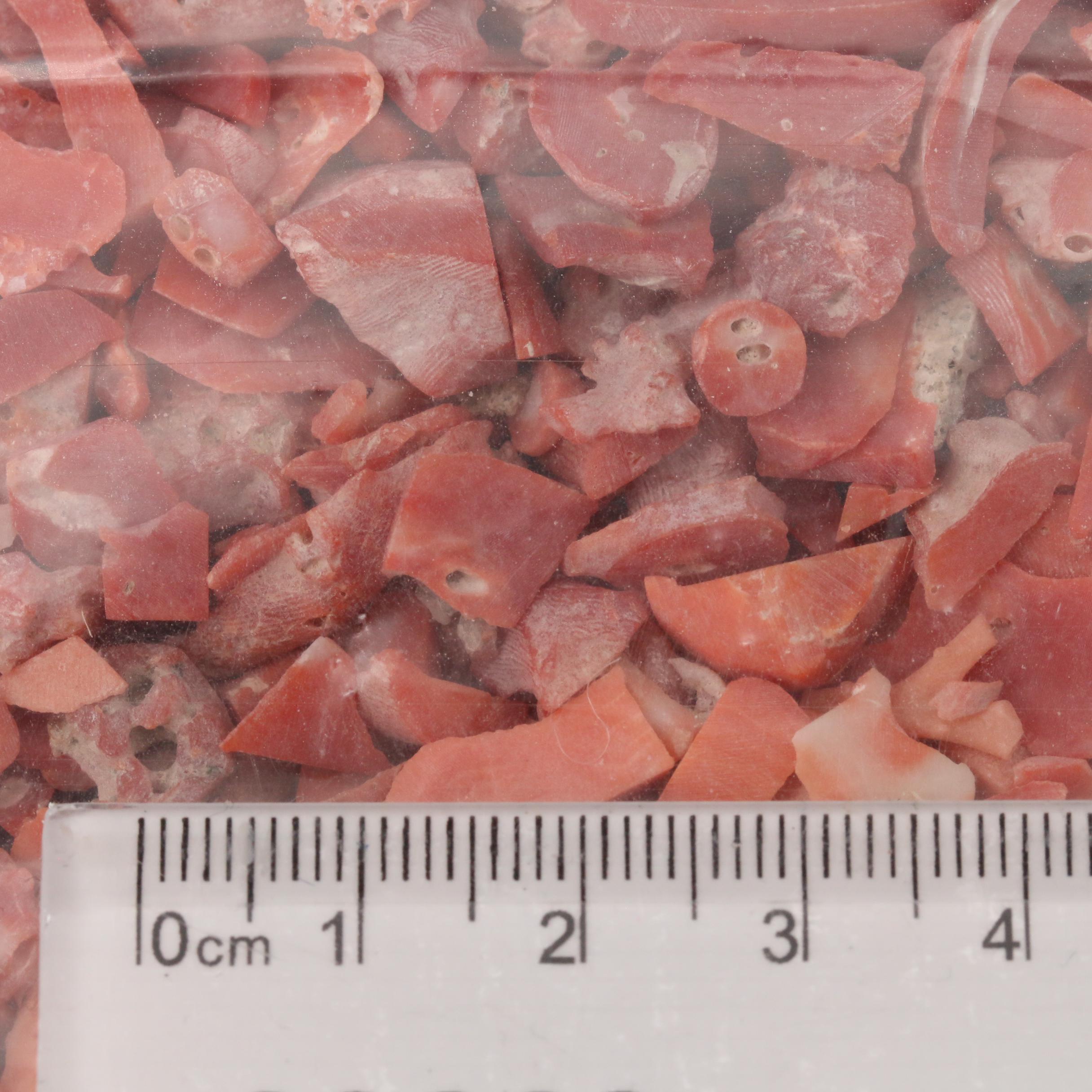 Loose Rough Pieces of Coral