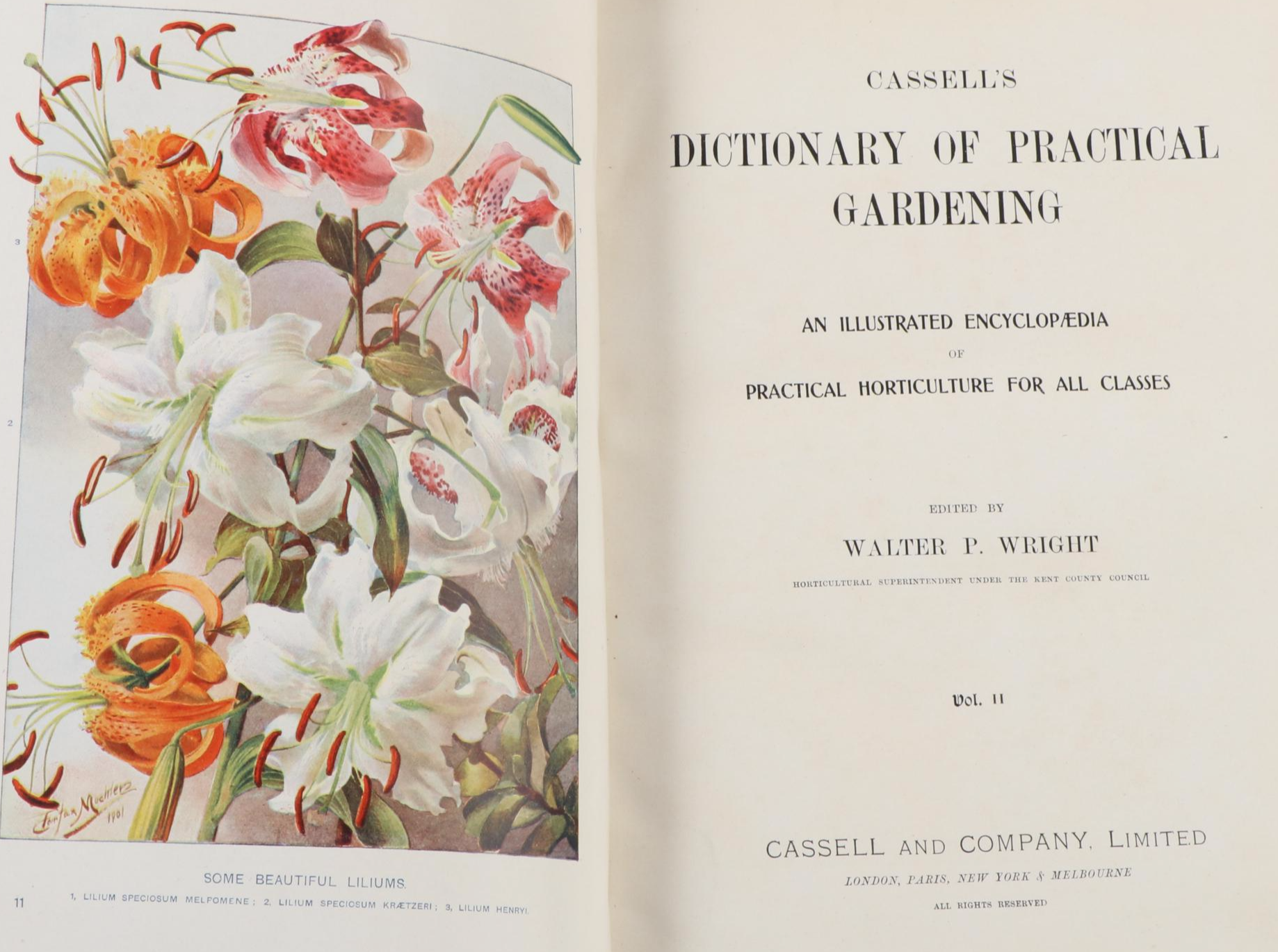 Illustrated "Cassell's Dictionary of Practical Gardening" Two-Volume Set, 1902