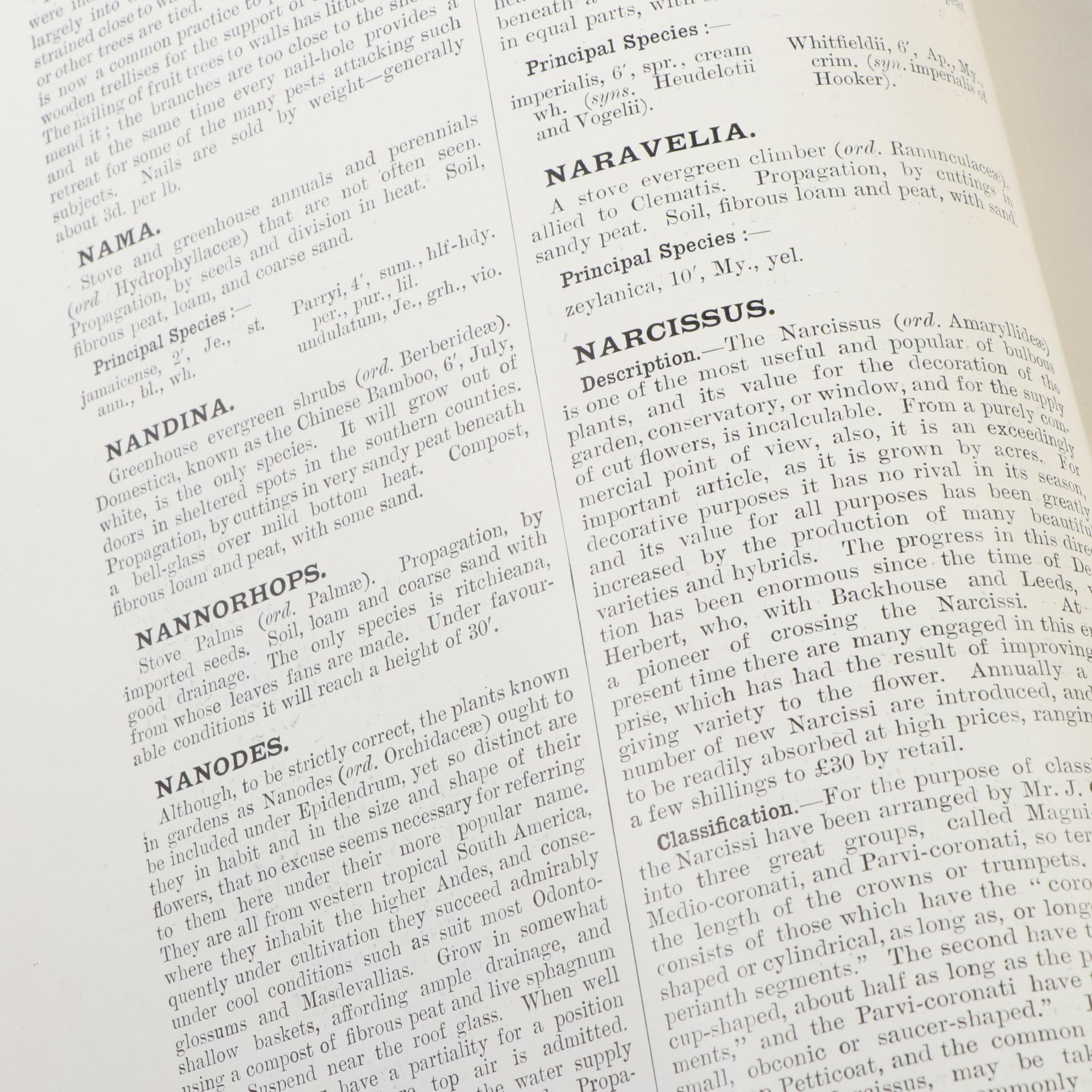 Illustrated "Cassell's Dictionary of Practical Gardening" Two-Volume Set, 1902