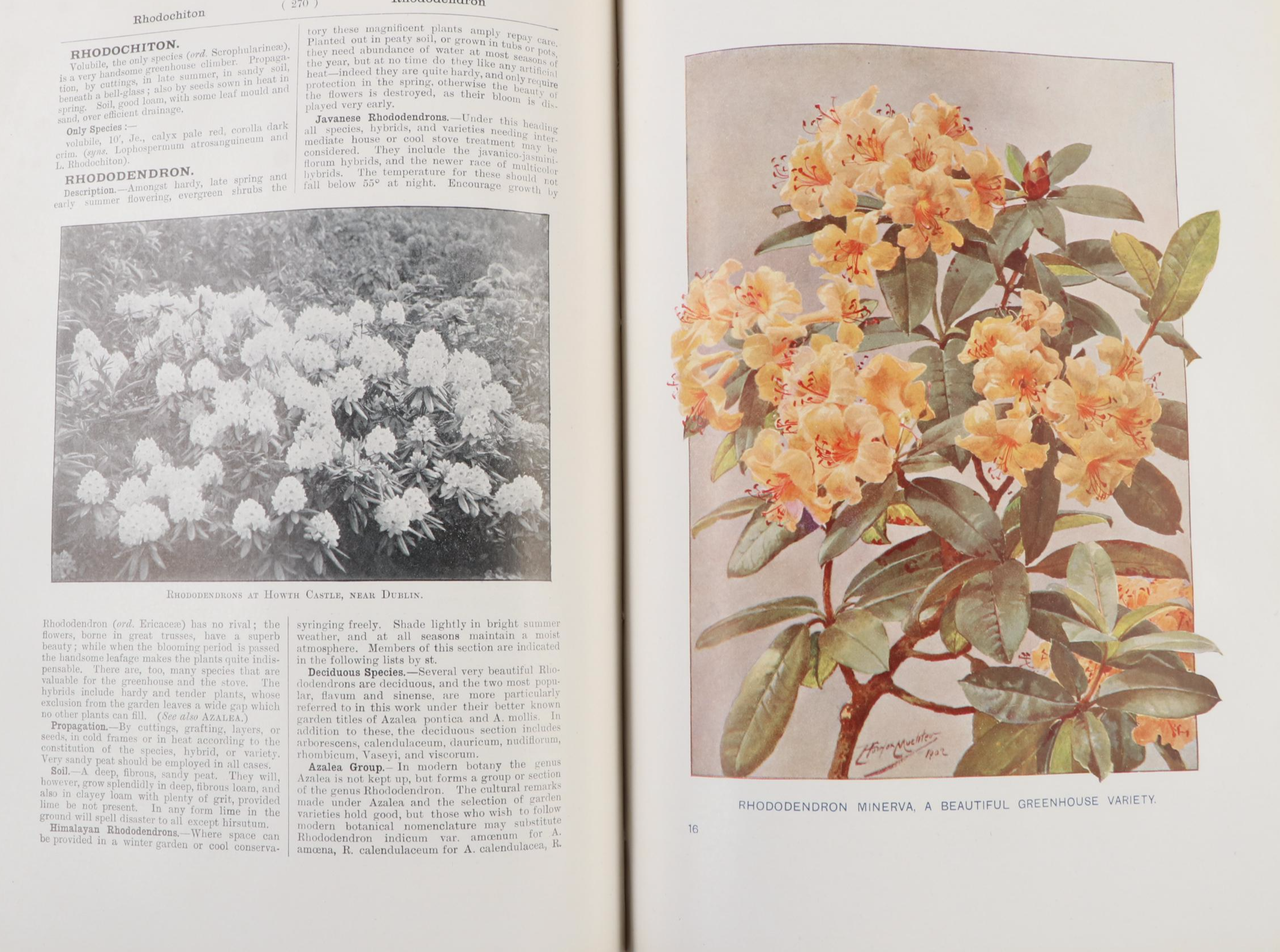 Illustrated "Cassell's Dictionary of Practical Gardening" Two-Volume Set, 1902