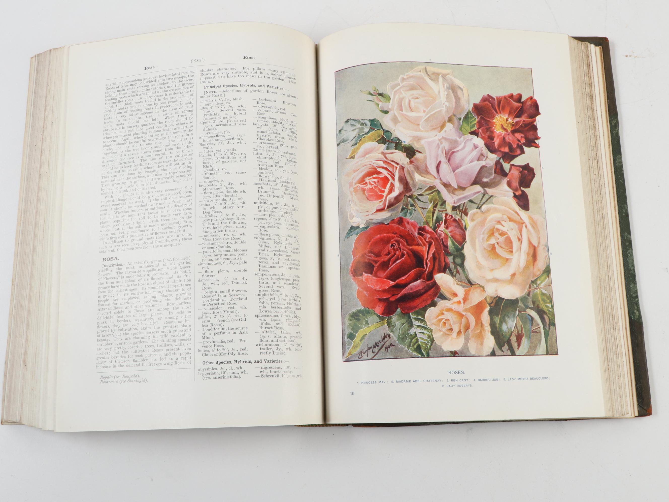 Illustrated "Cassell's Dictionary of Practical Gardening" Two-Volume Set, 1902