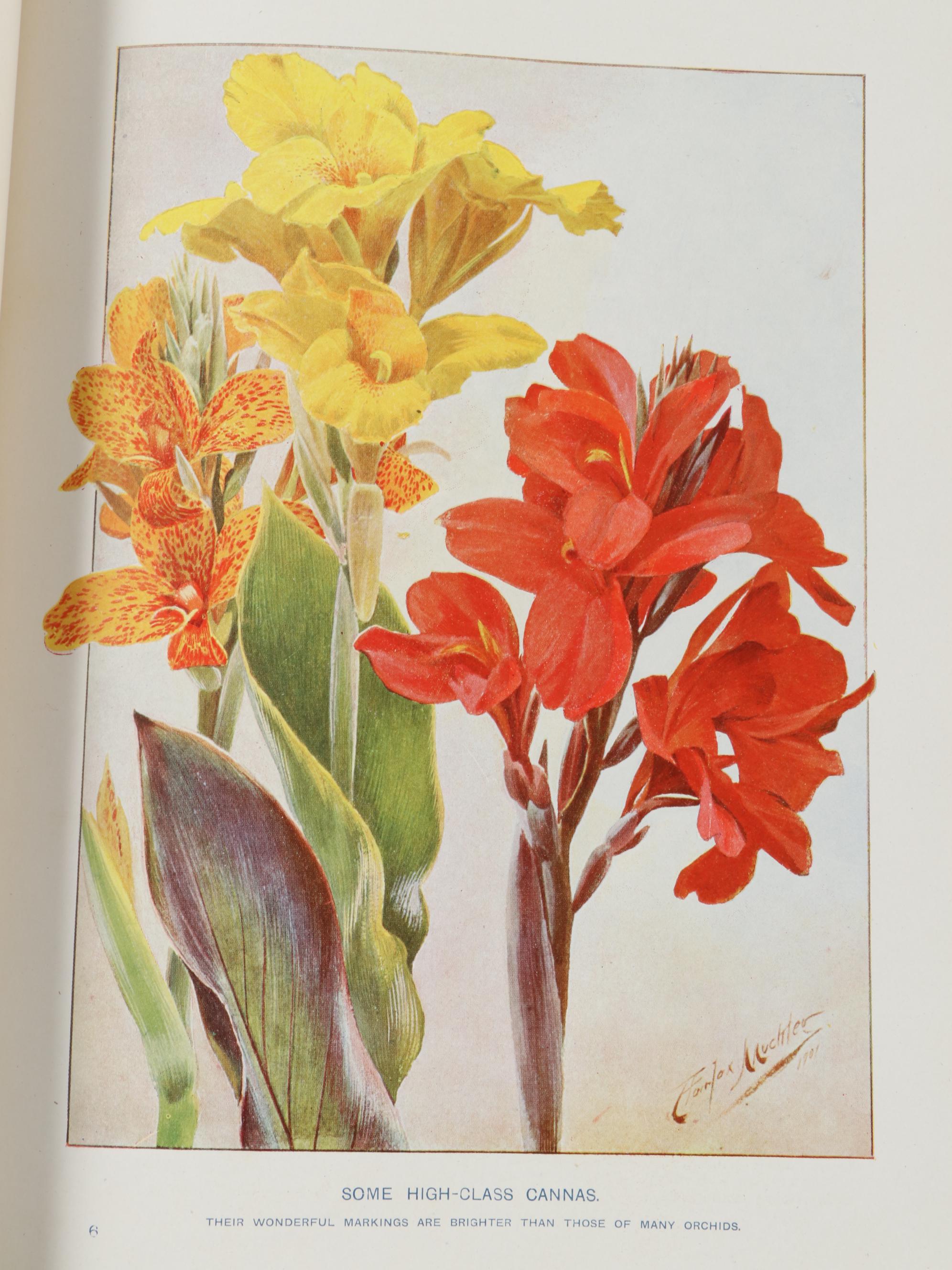 Illustrated "Cassell's Dictionary of Practical Gardening" Two-Volume Set, 1902