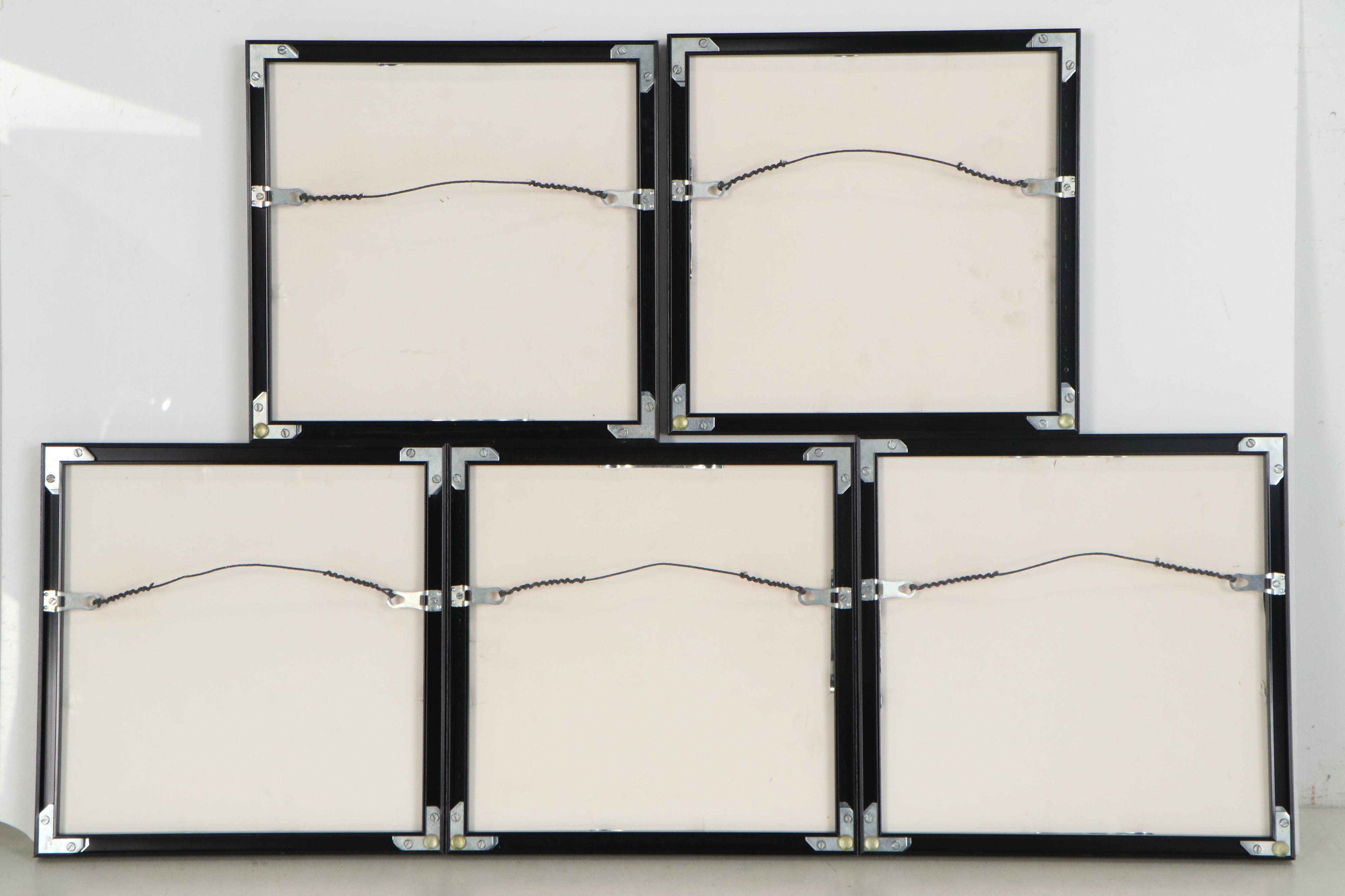 Black-and-White Photographs of Apollo 8 NASA Moon Landing, 1986