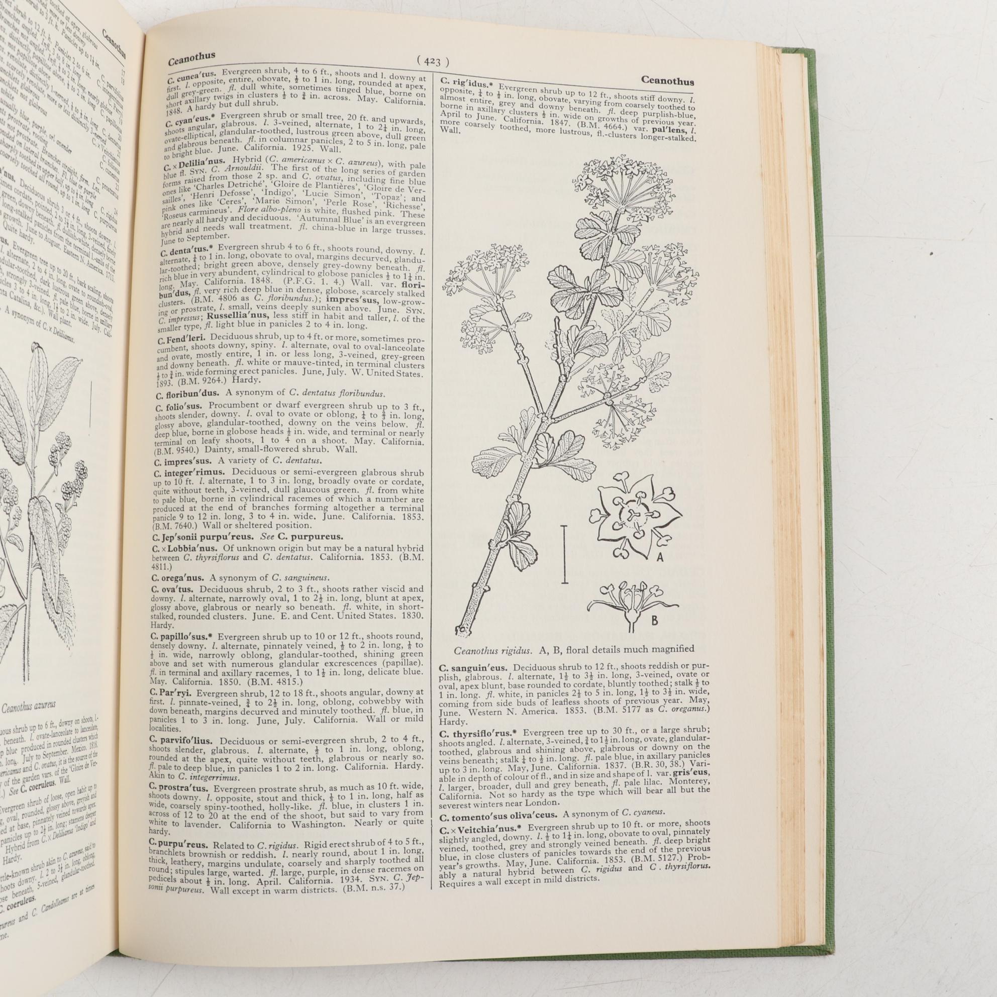 "Dictionary of Gardening" Second Edition Edited by Chittenden and Synge
