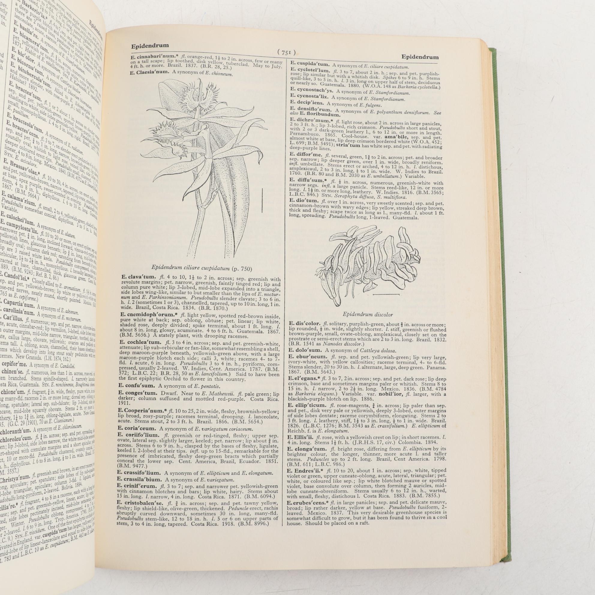 "Dictionary of Gardening" Second Edition Edited by Chittenden and Synge