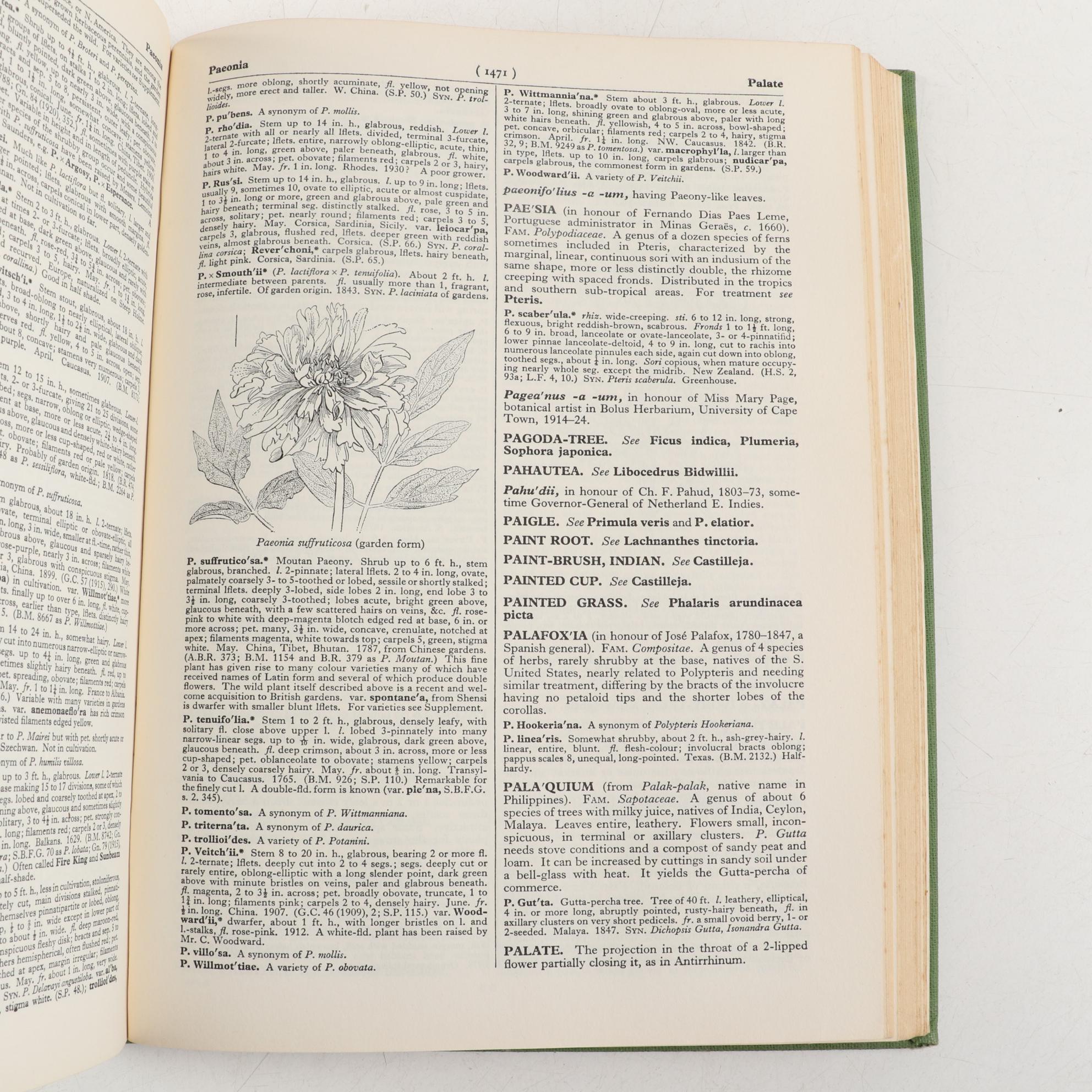 "Dictionary of Gardening" Second Edition Edited by Chittenden and Synge