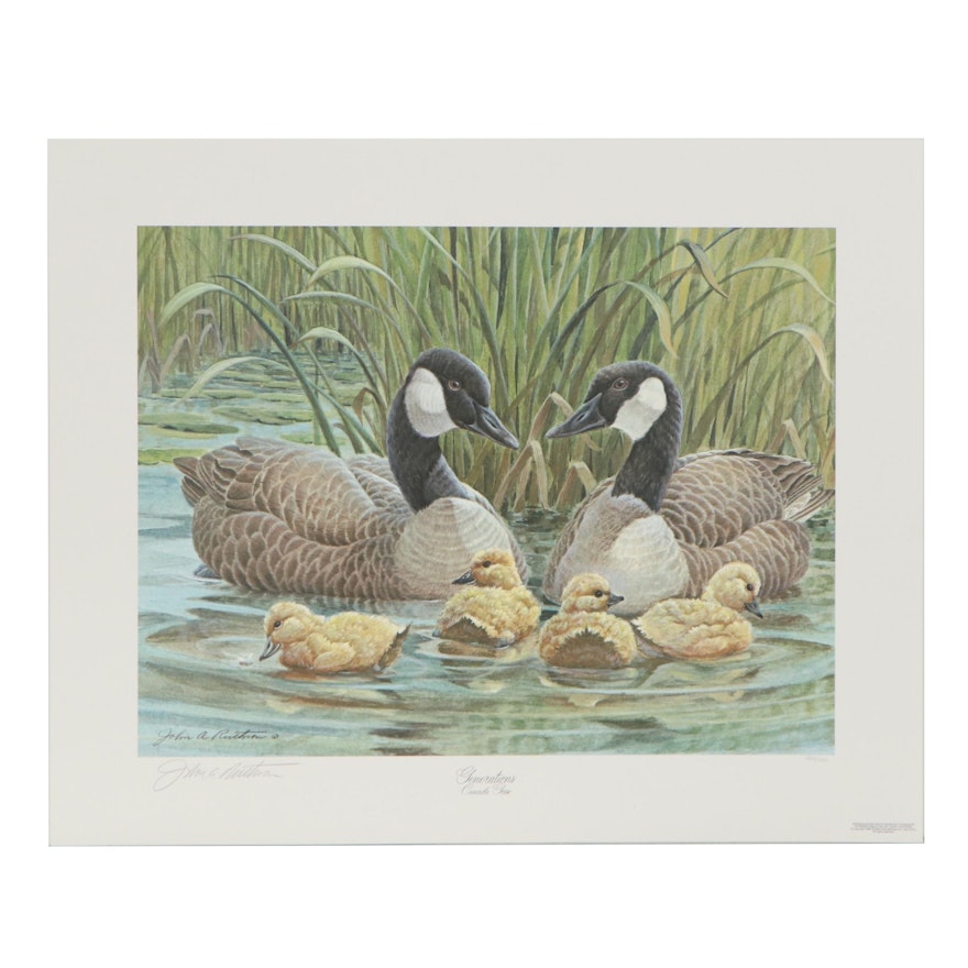 John A. Ruthven Offset Lithograph "Generations - Common Goose"