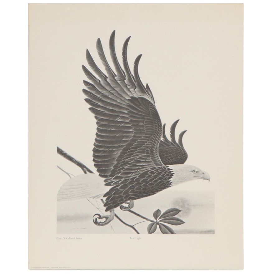 Offset Lithograph after John Ruthven "Bald Eagle" with Periodical Coverage