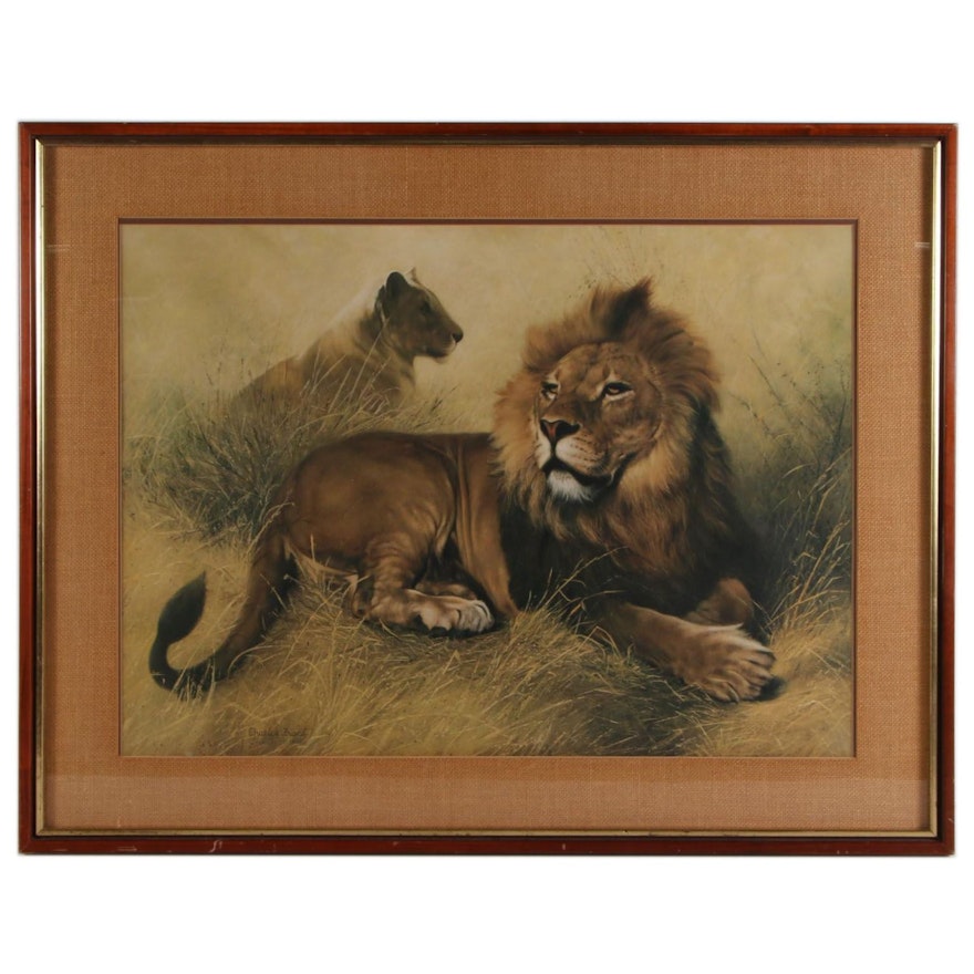 Charles Fracé Offset Lithograph "The Lions," circa 1974