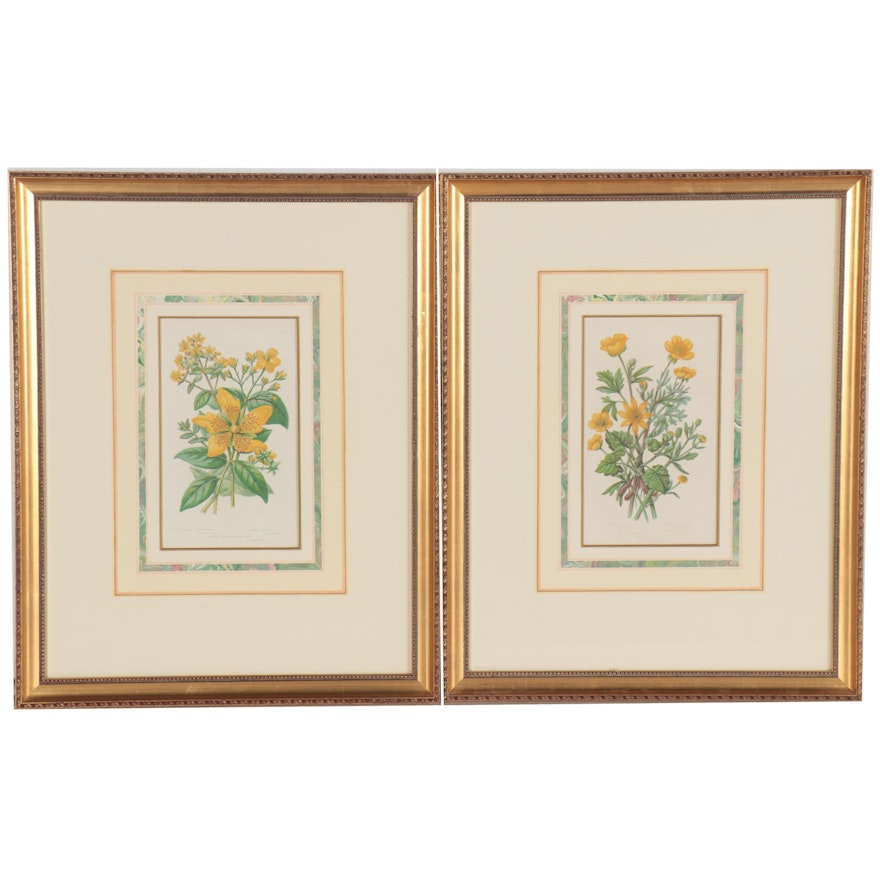 Botanical Etchings with Aquatint and Relief after Anne Pratt, Early 20th Century