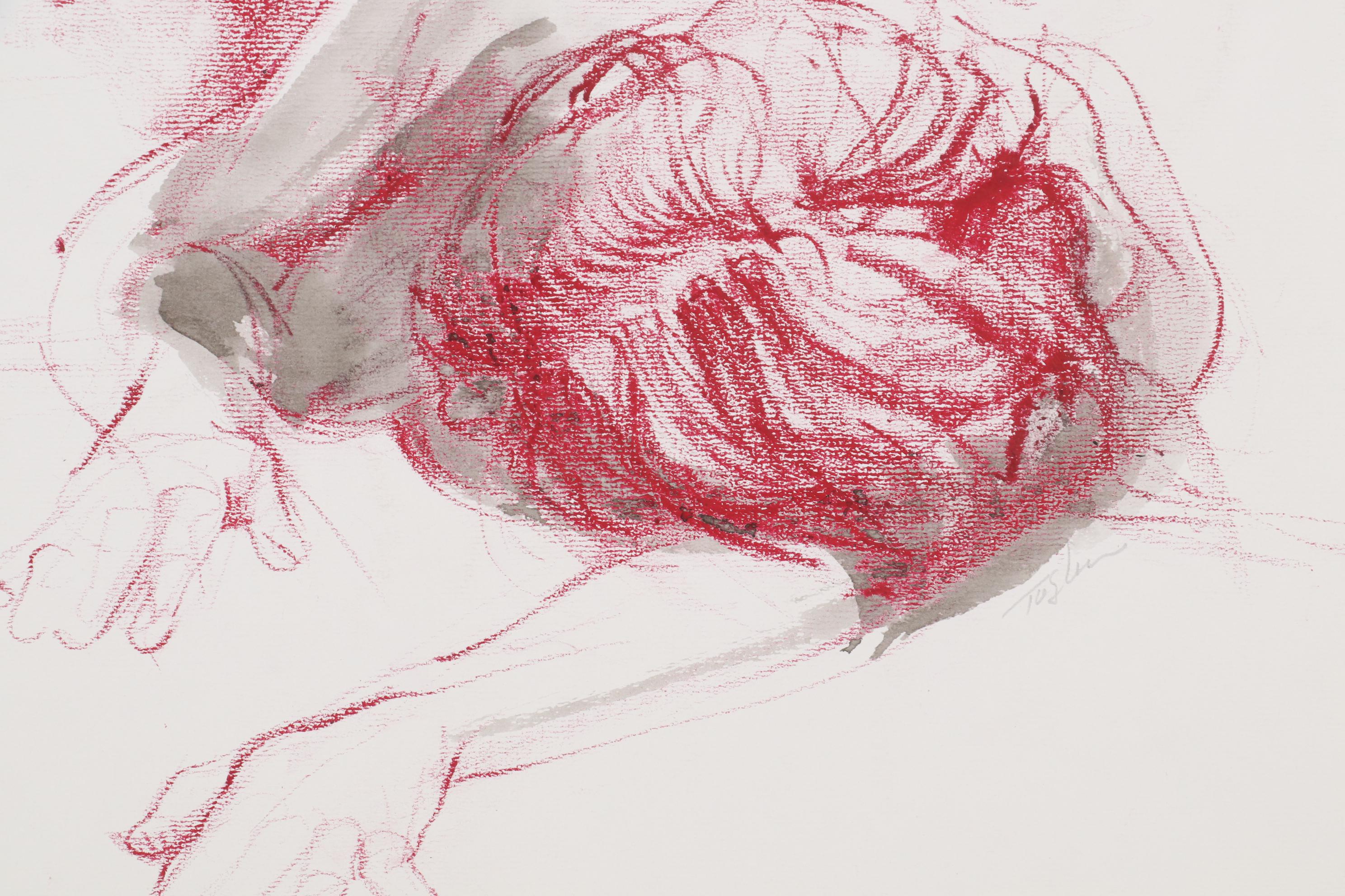 John Tuska Figural Drawings of Female Nudes