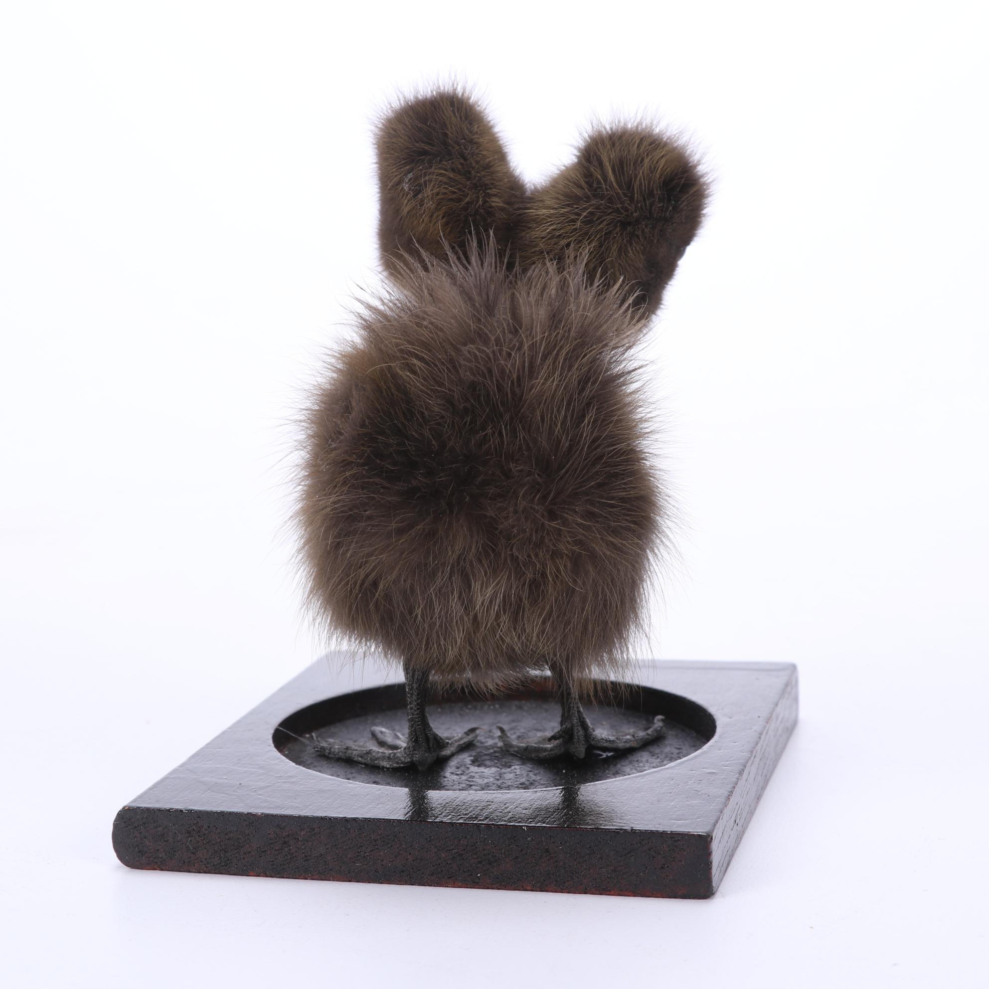 Sideshow Gaff Taxidermy Two-Headed Duckling