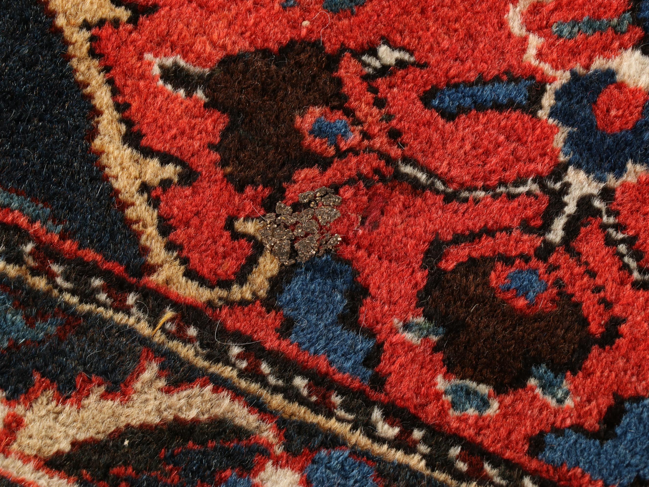 11'8 x 16'8 Hand-Knotted Persian Bakhtiari Shahr Kord Room Sized Rug