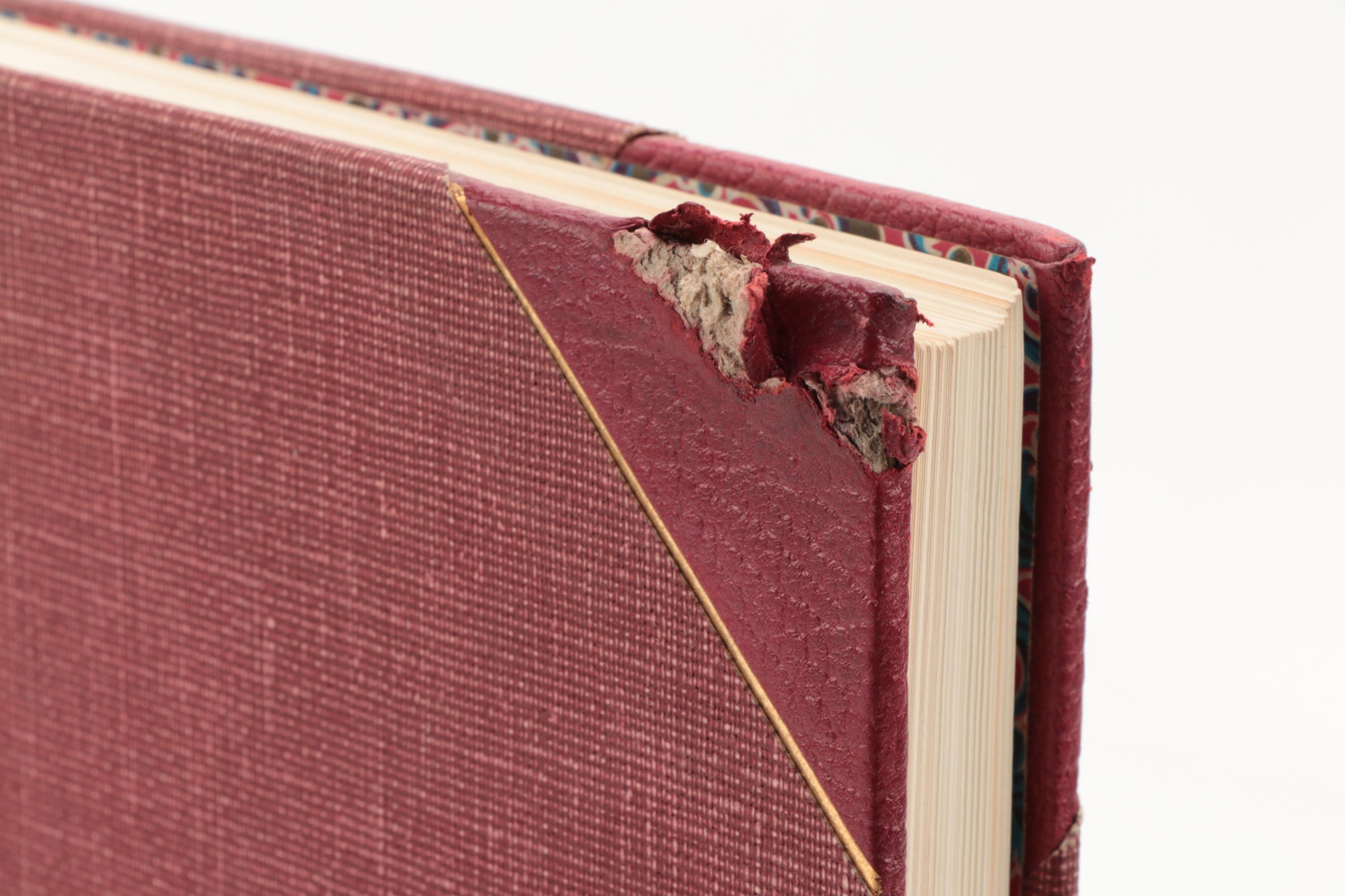 First Edition "Stubbs and the Horse" with "Thoroughbreds I Have Known"