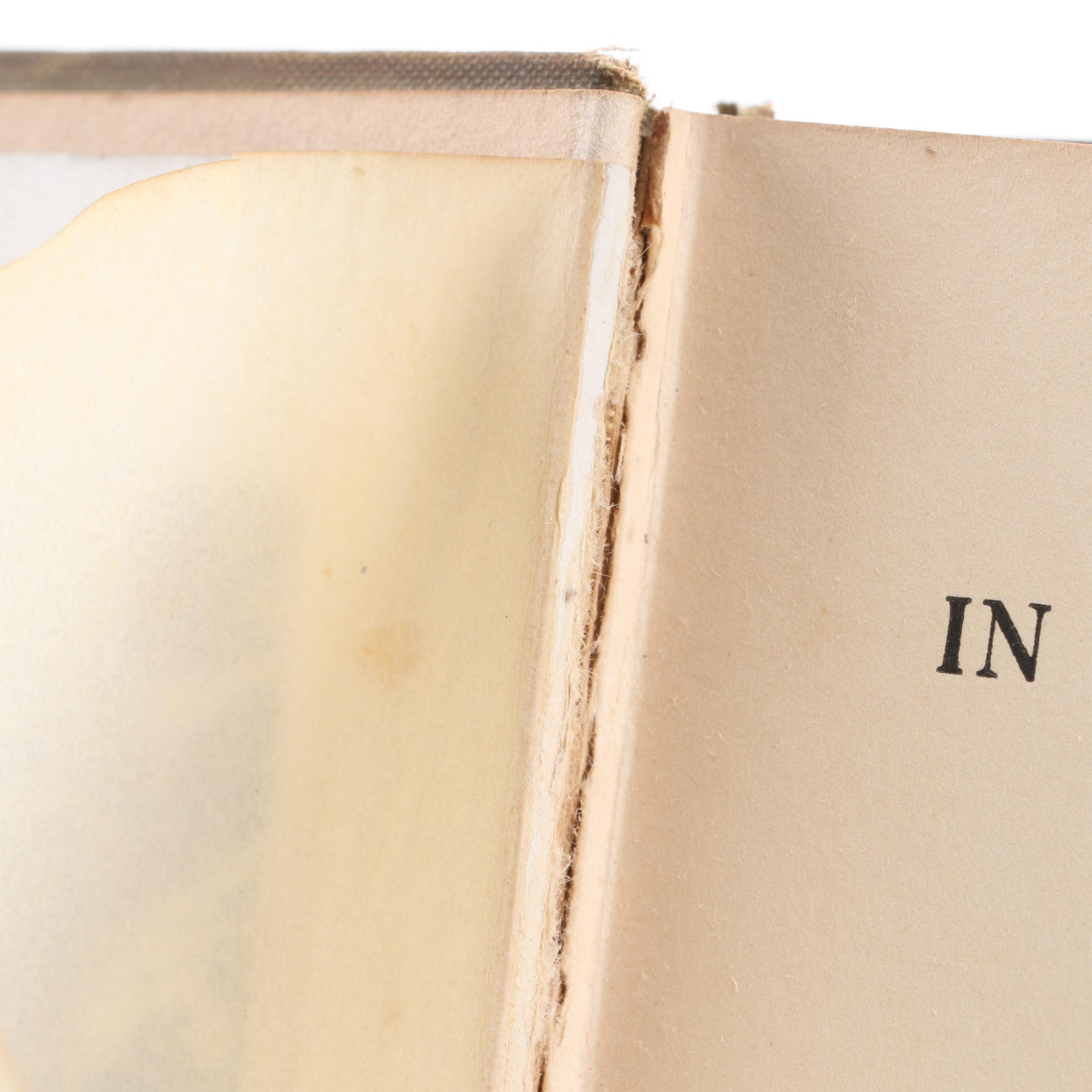 Arthur Rackham Illustrated "Peter Pan in Kensington Gardens," 1912