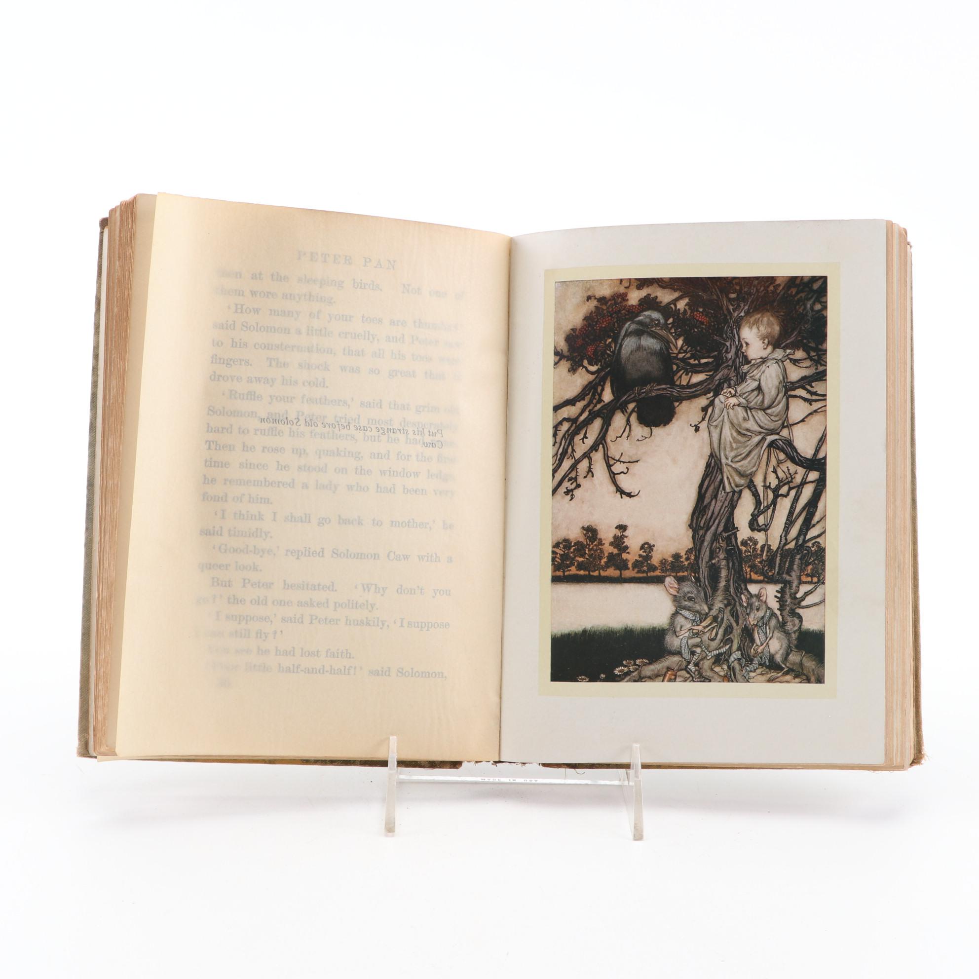 Arthur Rackham Illustrated "Peter Pan in Kensington Gardens," 1912