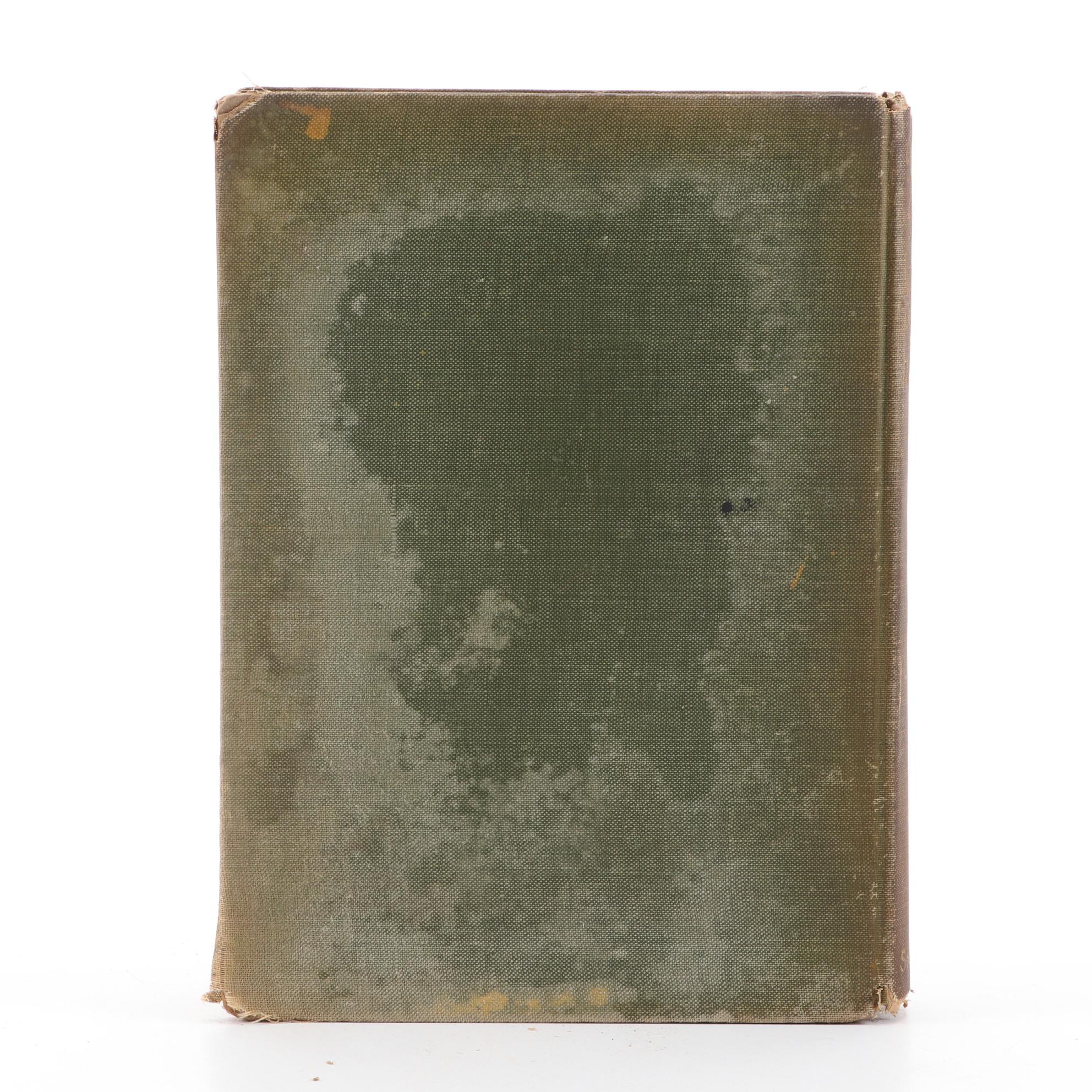 Arthur Rackham Illustrated "Peter Pan in Kensington Gardens," 1912