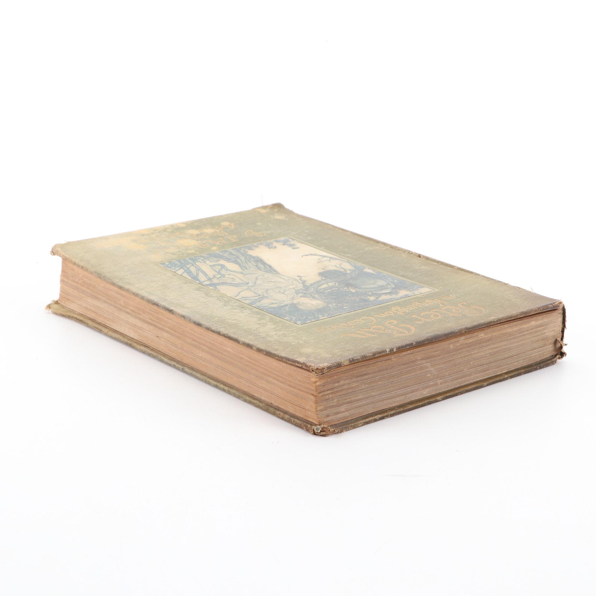 Arthur Rackham Illustrated "Peter Pan in Kensington Gardens," 1912