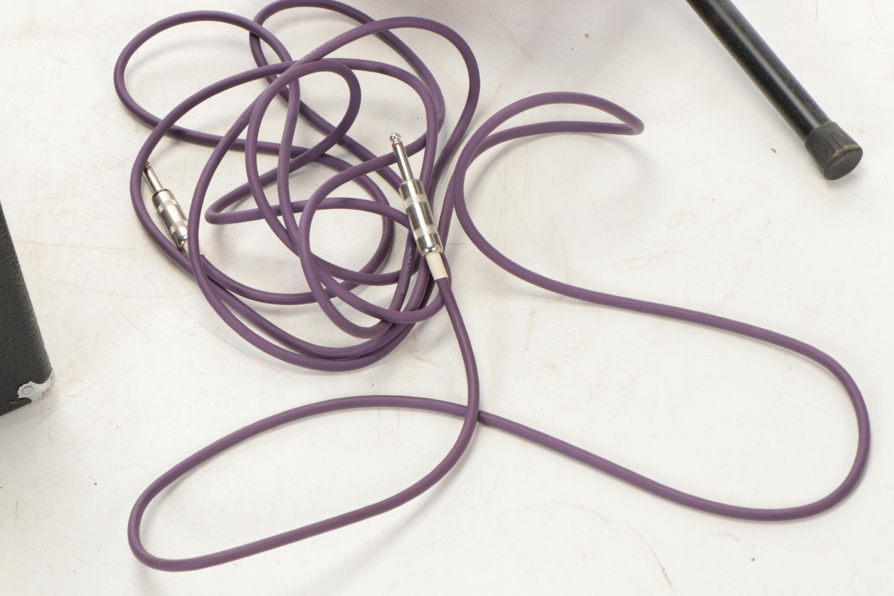 Burnside Electric Street Bass with Steinberger Licensed Tuner and Hardcover Case