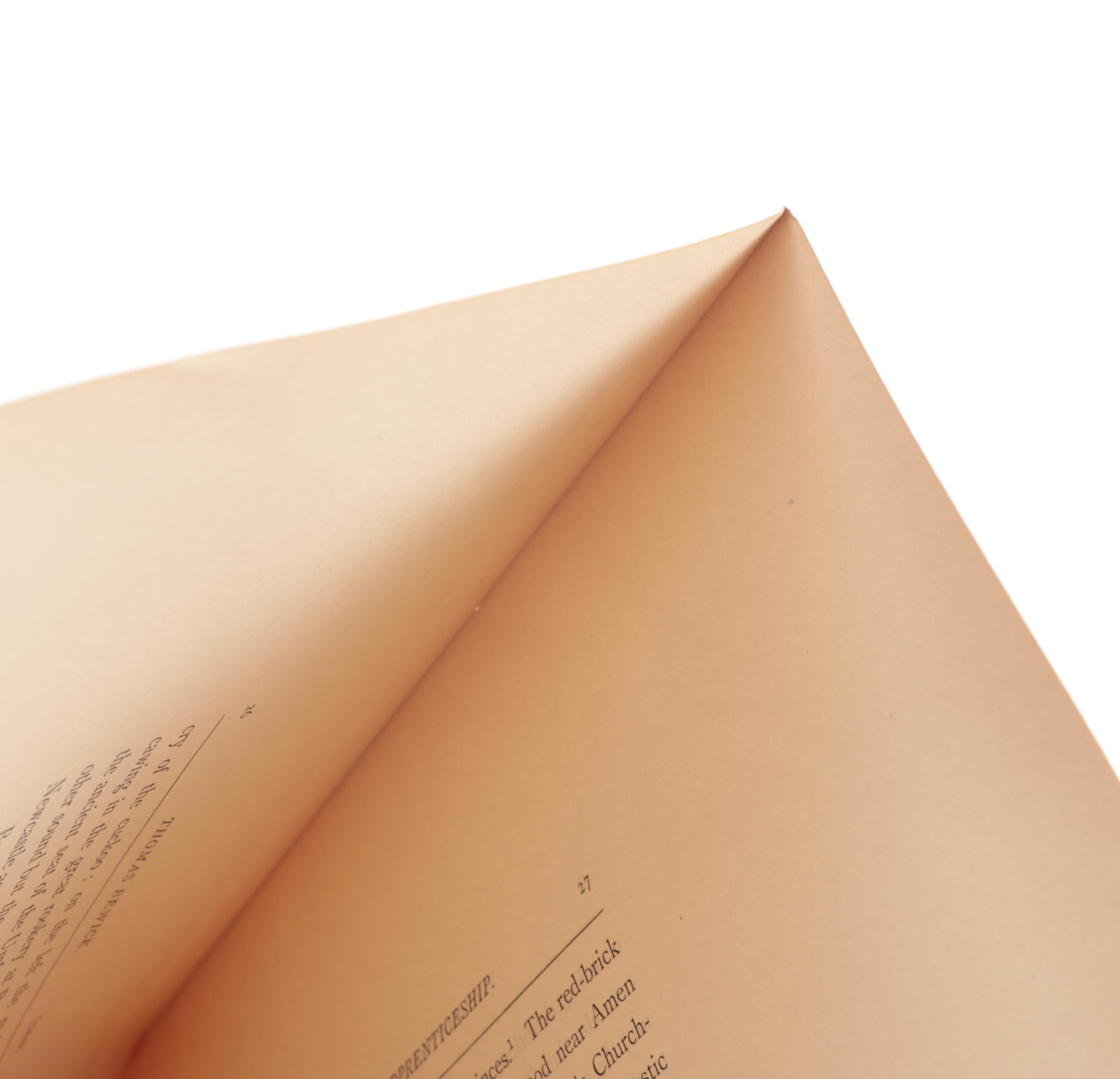 Limited Edition "Thomas Bewick and His Pupils" by Austin Dobson, 1884