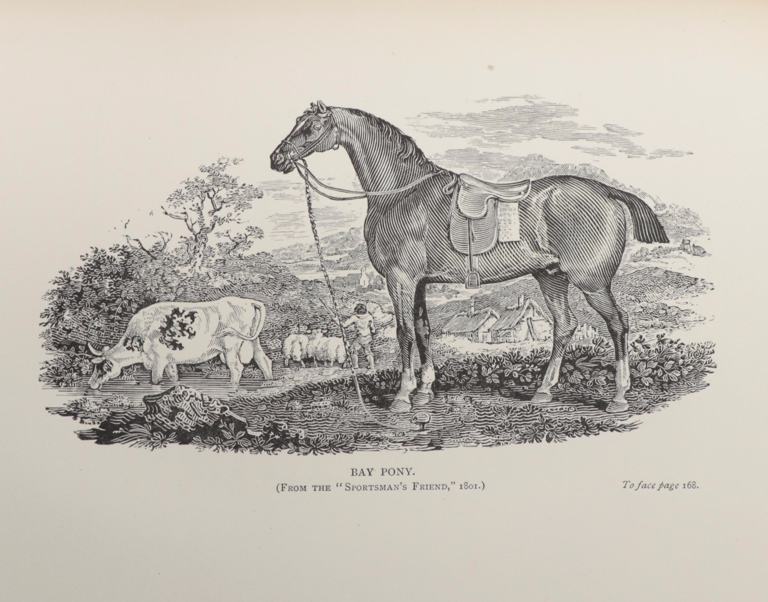 Limited Edition "Thomas Bewick and His Pupils" by Austin Dobson, 1884