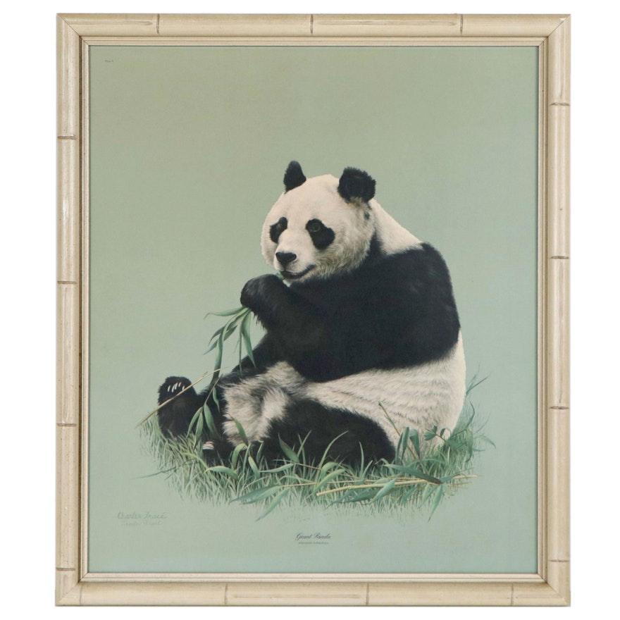 Charles Fracé Offset Lithograph "Giant Panda"