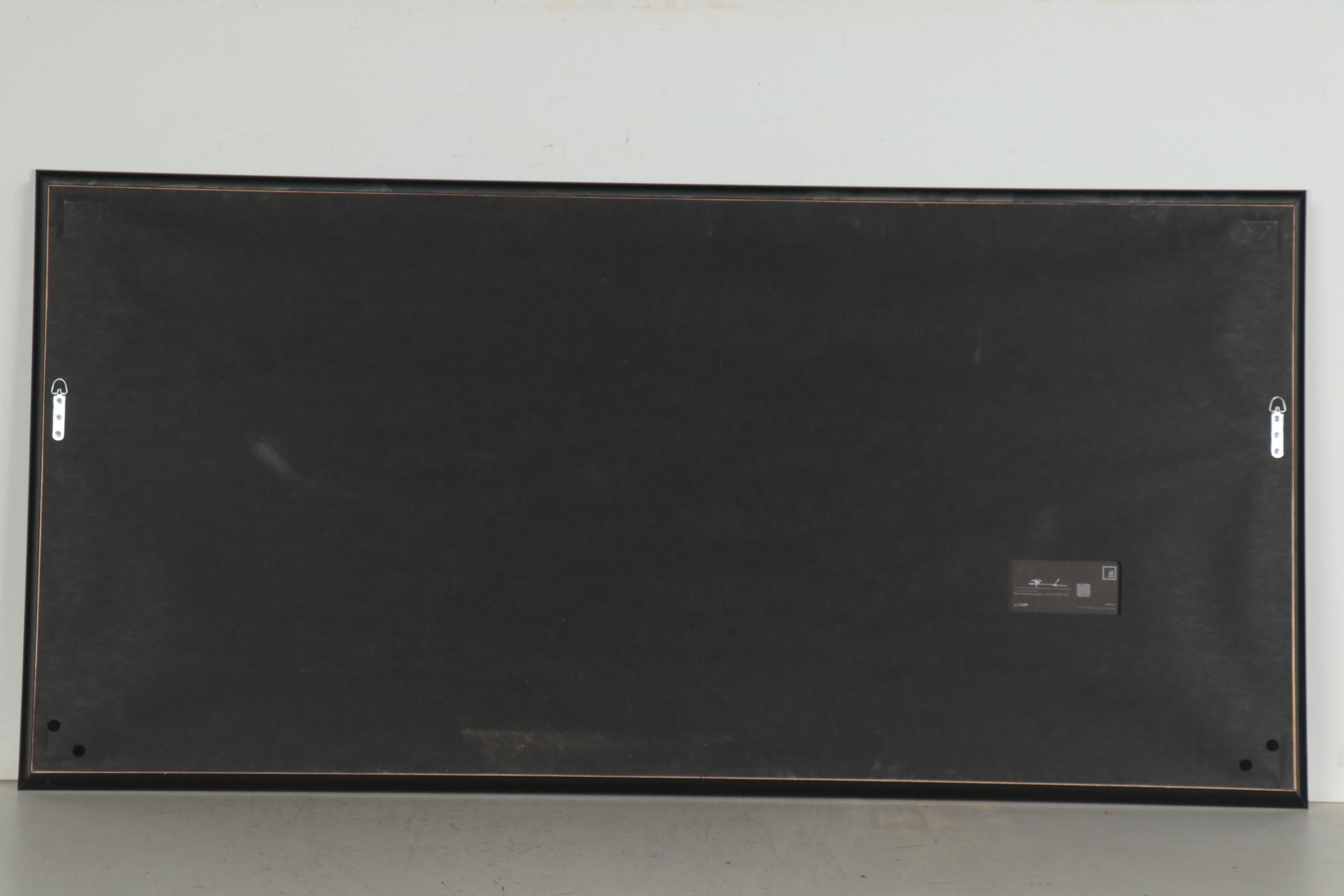 Peter Lik Monumental Chromogenic Color Photograph "Summer Dreams," 21st Century