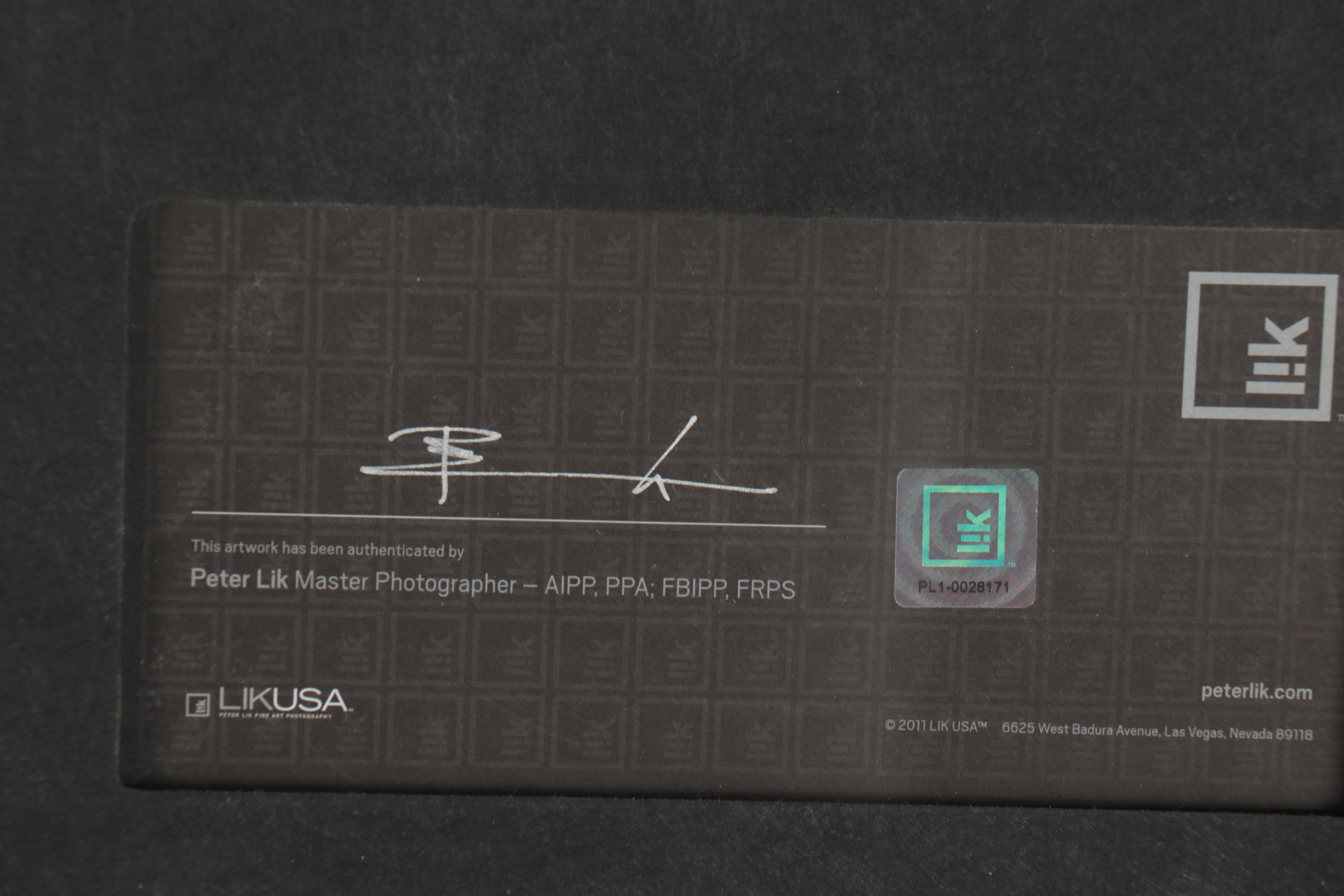 Peter Lik Monumental Chromogenic Color Photograph "Summer Dreams," 21st Century