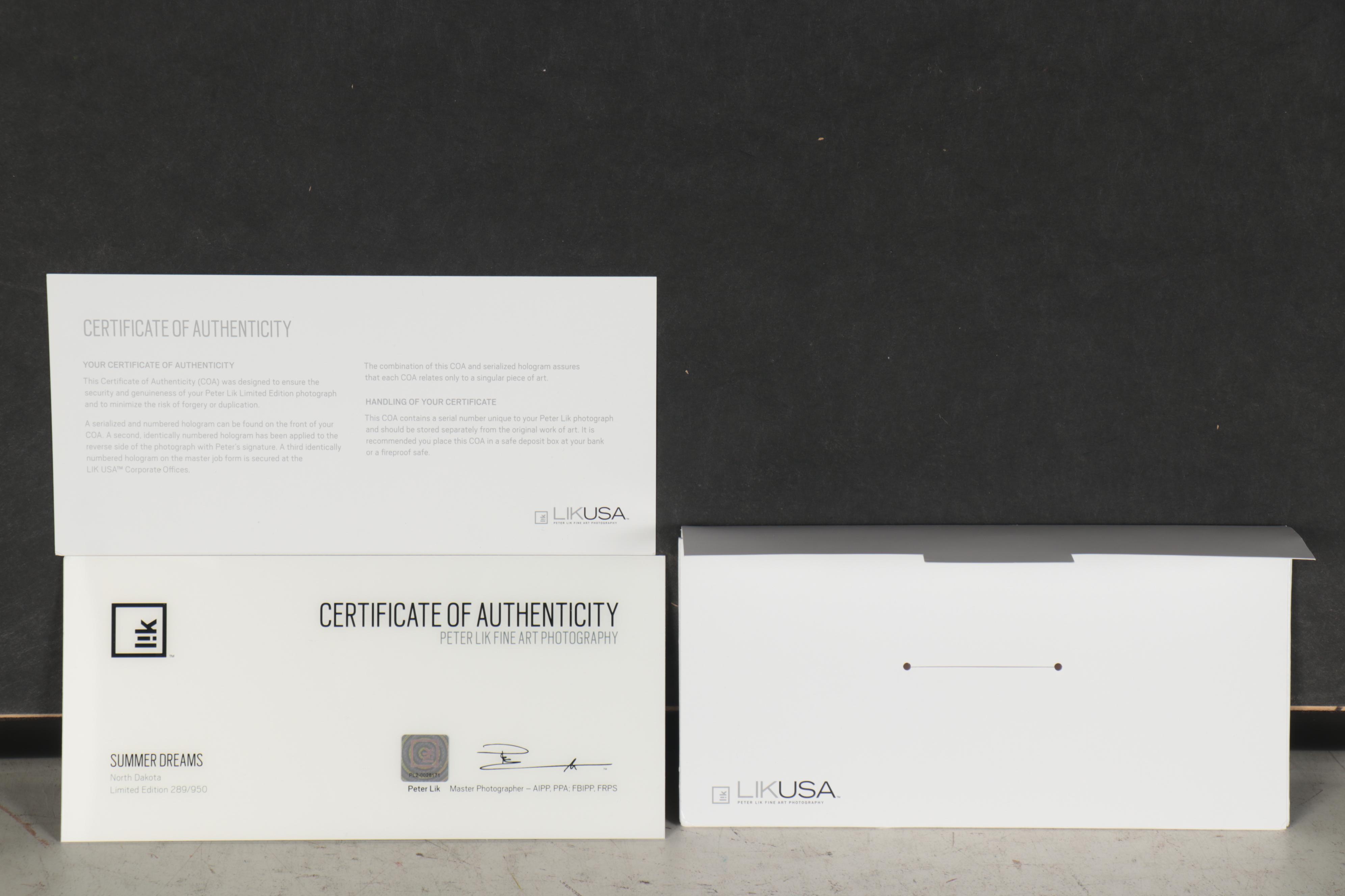 Peter Lik Monumental Chromogenic Color Photograph "Summer Dreams," 21st Century