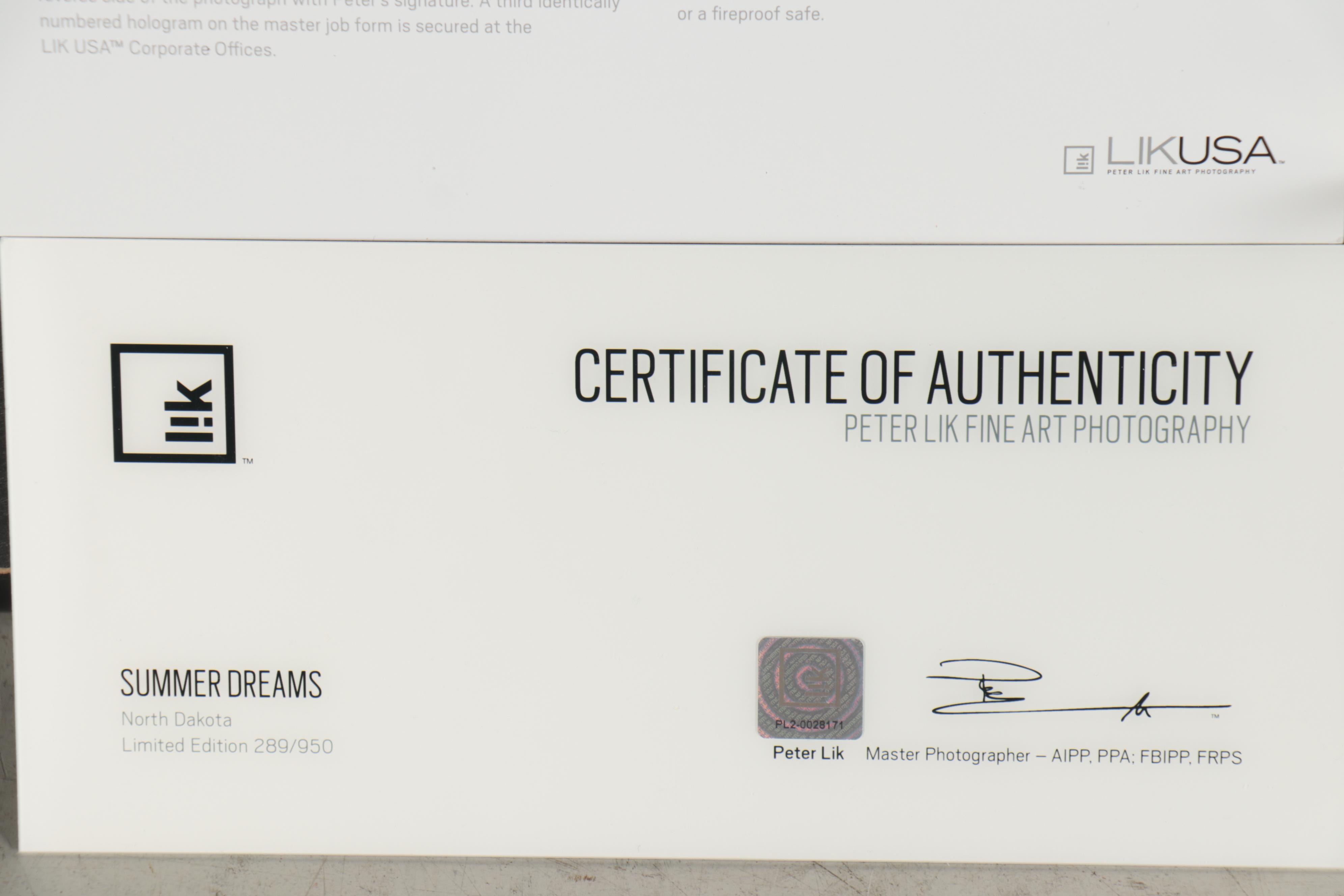 Peter Lik Monumental Chromogenic Color Photograph "Summer Dreams," 21st Century