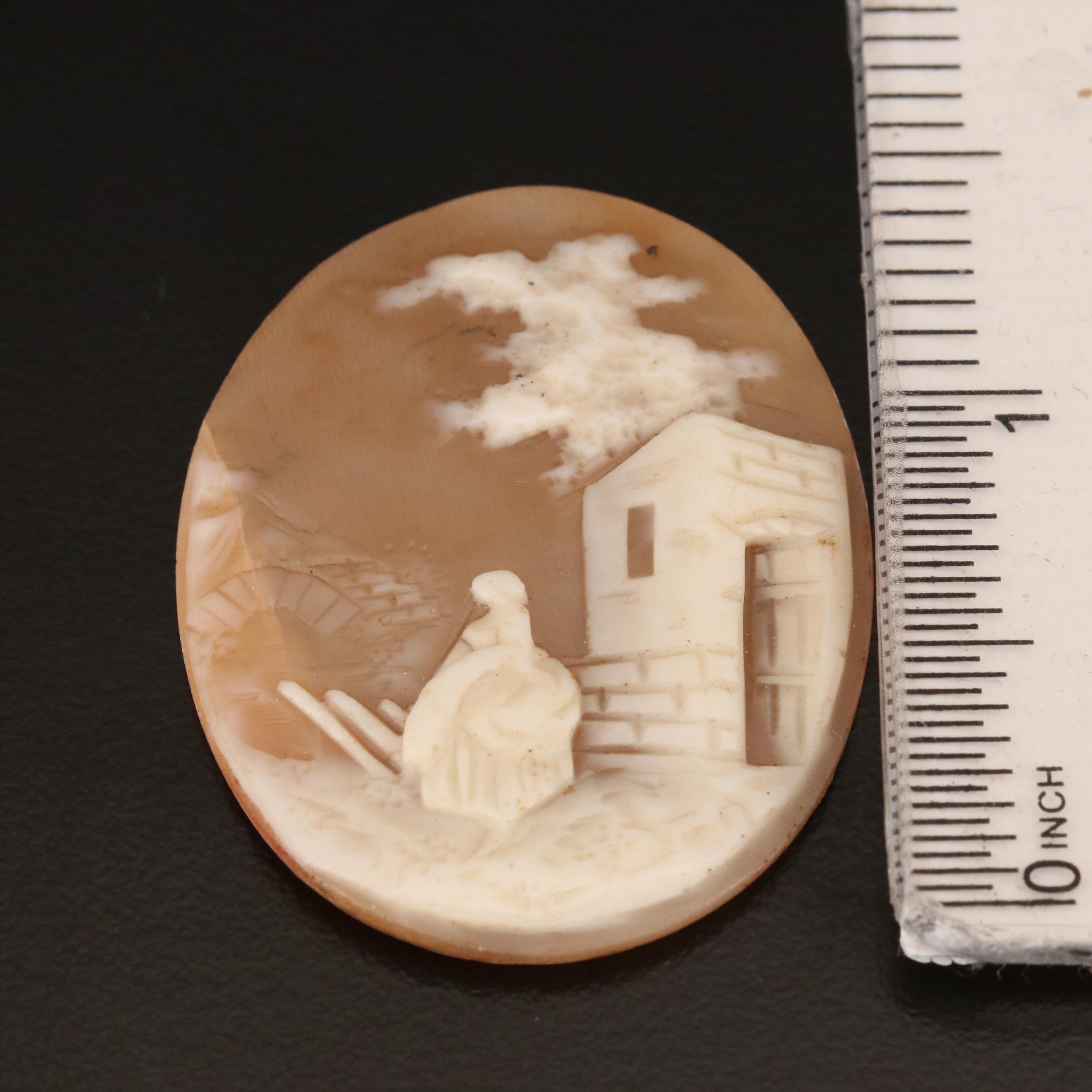 Loose Carved Helmet Conch Shell Cameos Including Rebecca at the Well