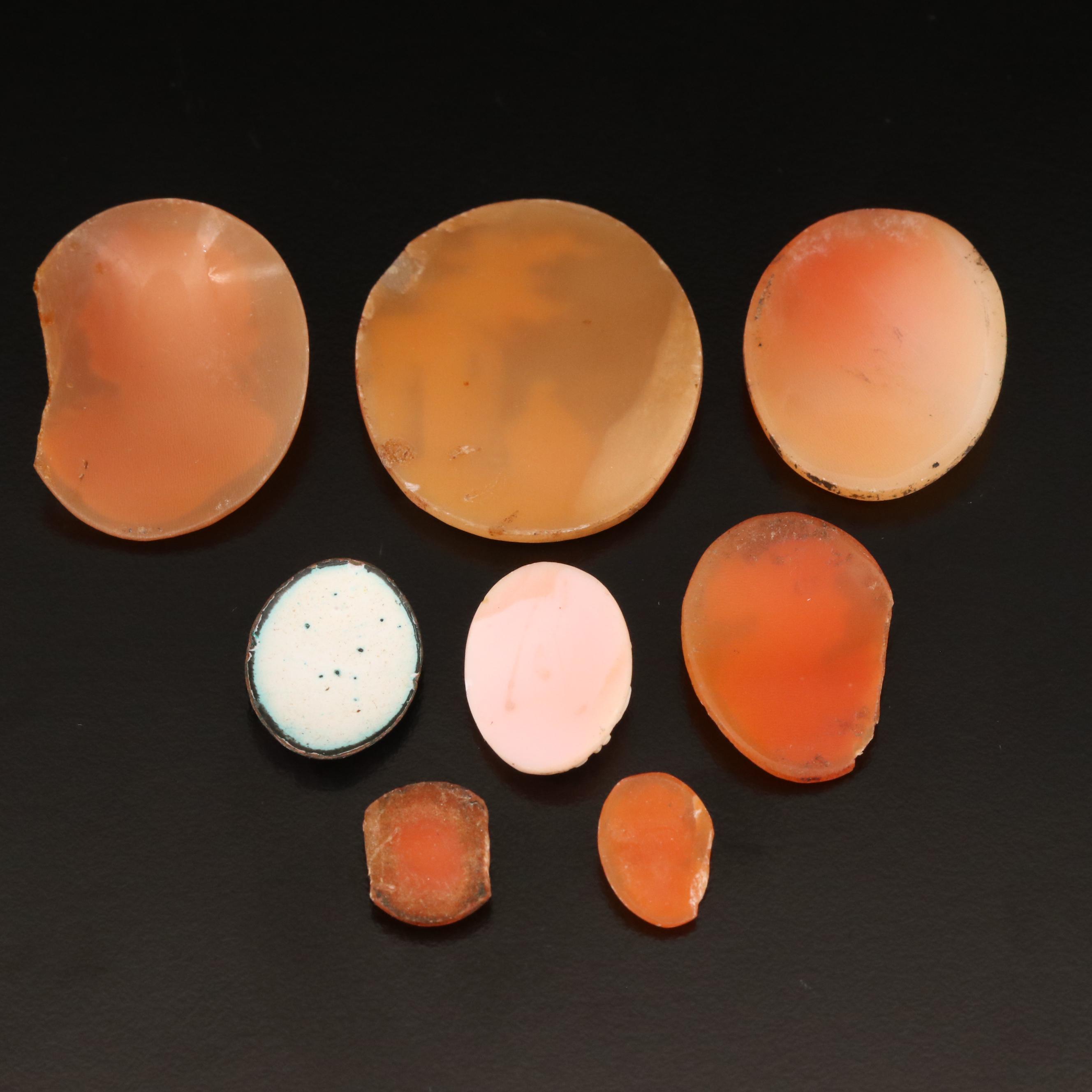 Loose Carved Helmet Conch Shell Cameos Including Rebecca at the Well