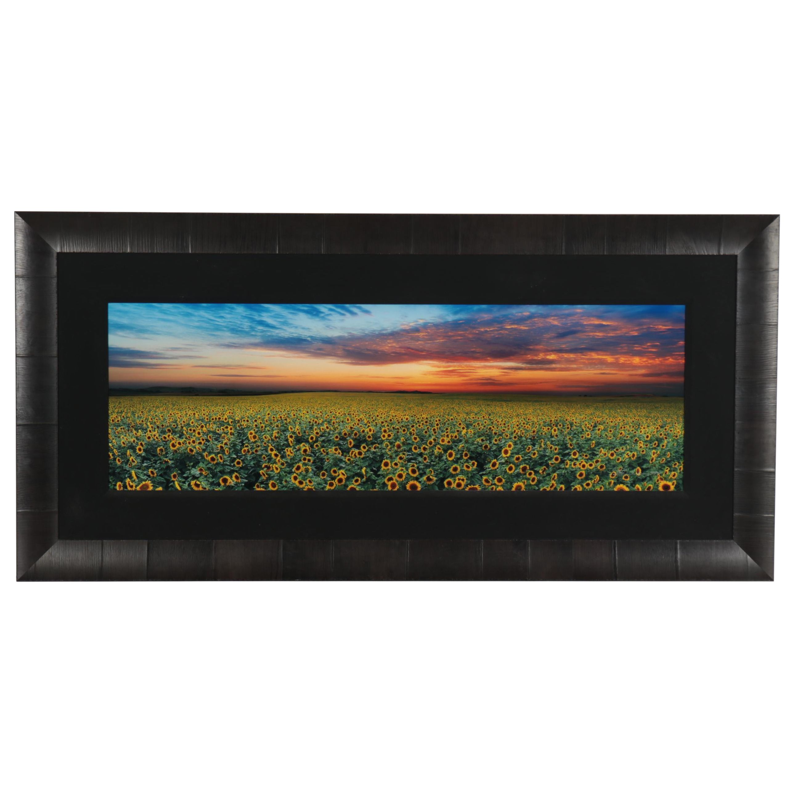 Peter Lik Monumental Chromogenic Color Photograph "Summer Dreams," 21st Century