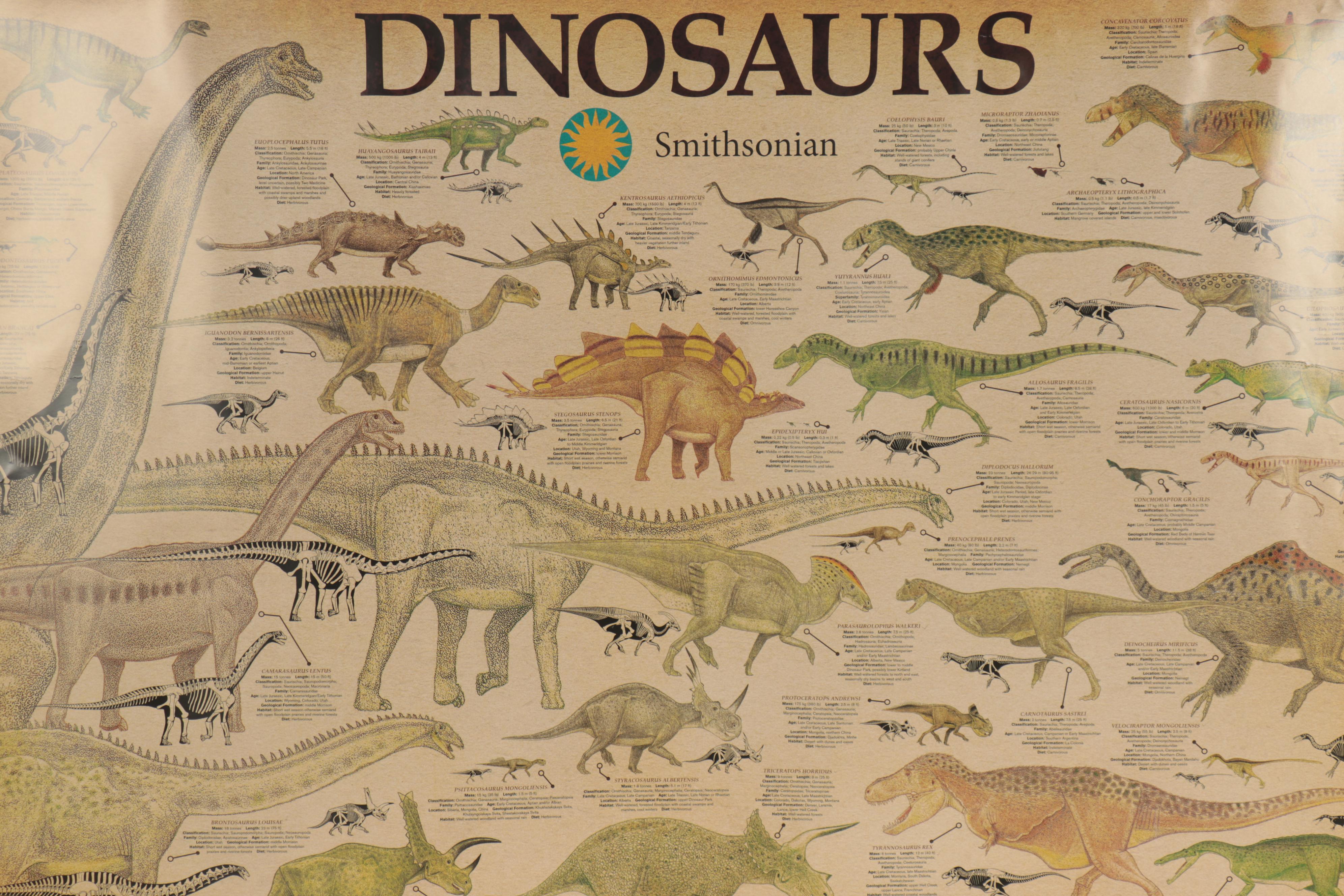 Lithographs, Digital and Photomechanical Prints of Infographic Posters