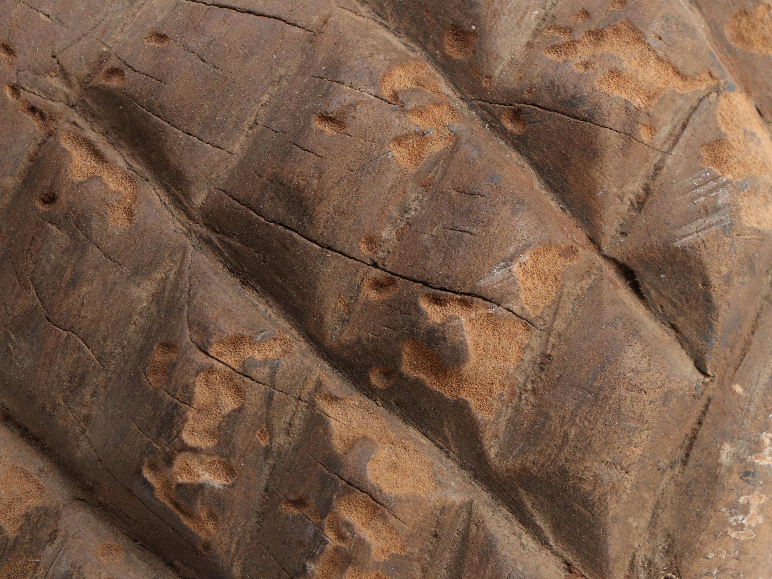 Igbo Style Carved Wood Helmet Mask, West Africa