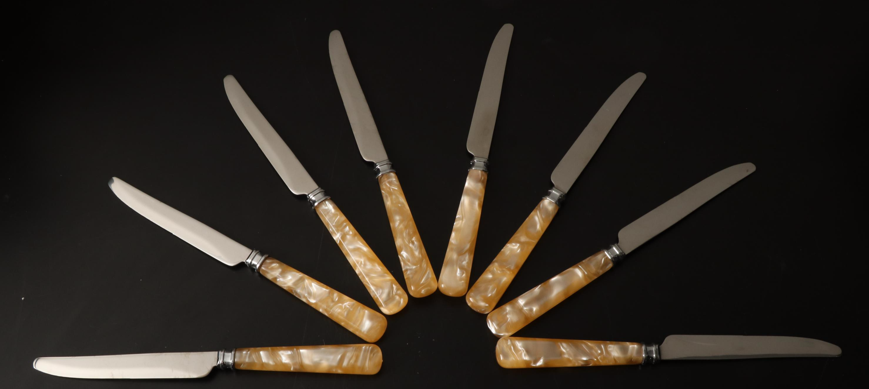 Mikasa "Ivory" Acrylic and Stainless Steel Flatware Five-Piece Sets for Eight