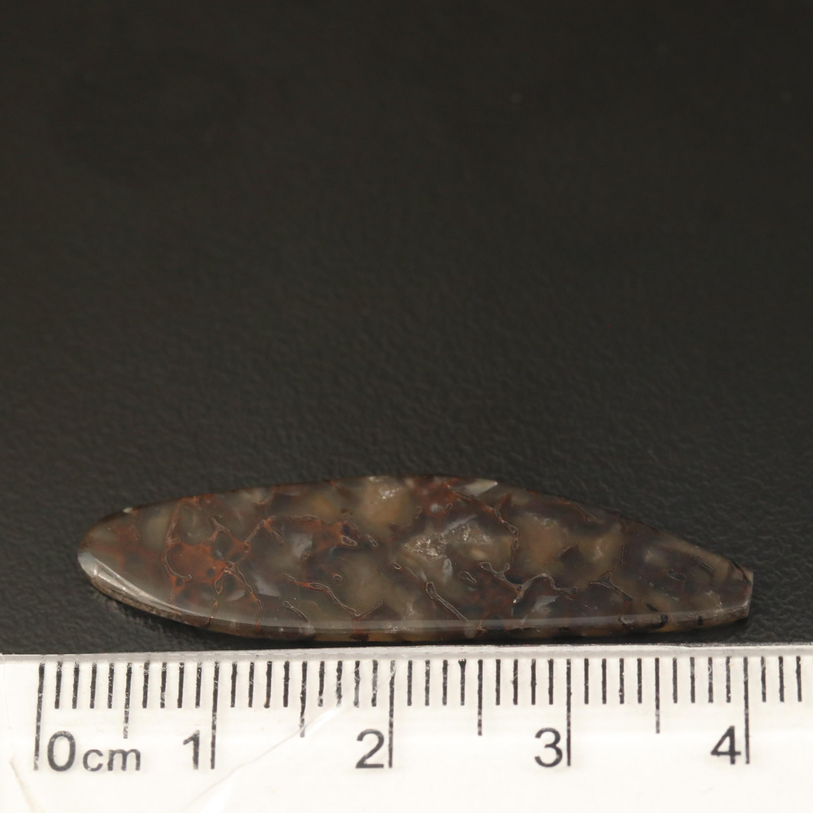 Loose Tablet Dendritic Agates
