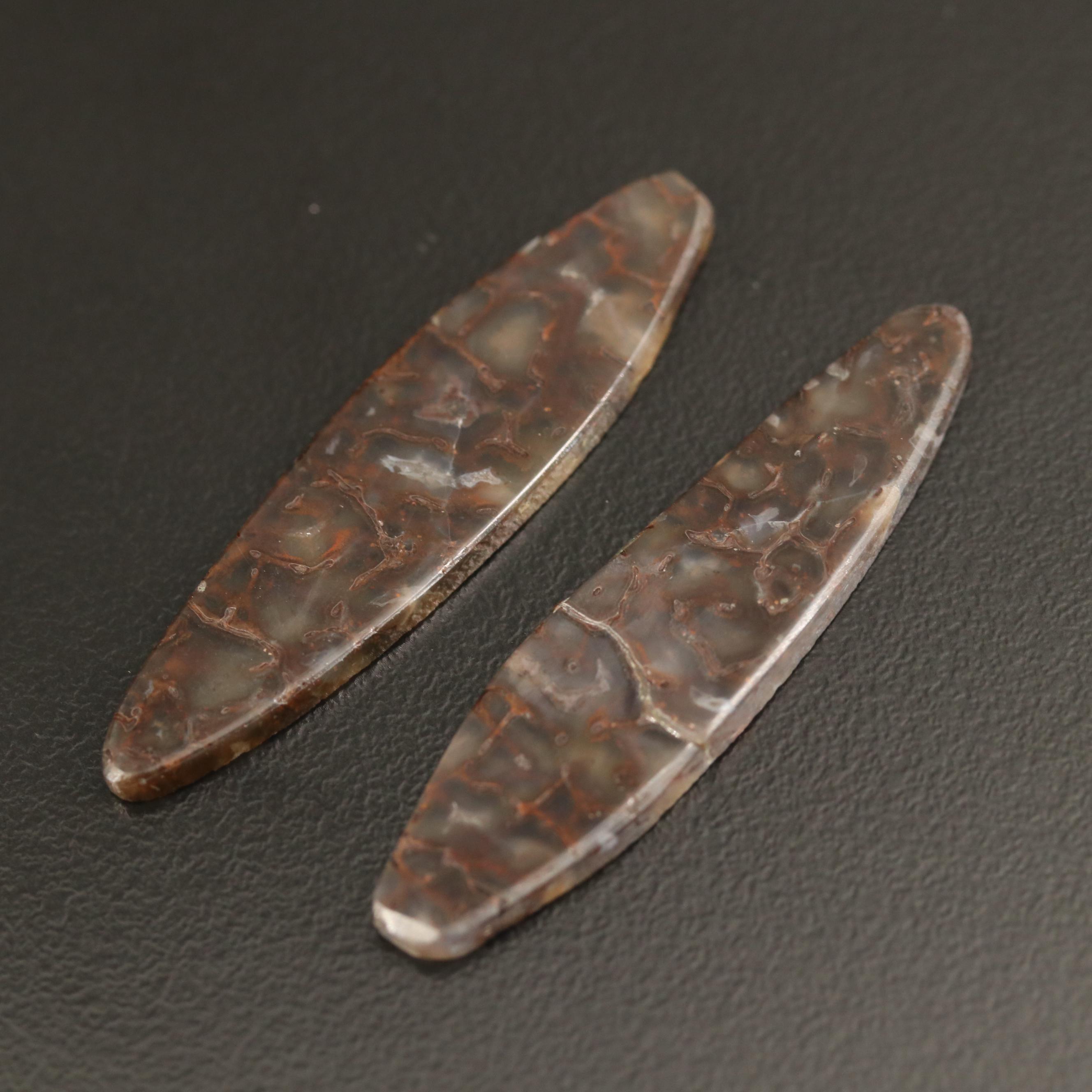 Loose Tablet Dendritic Agates