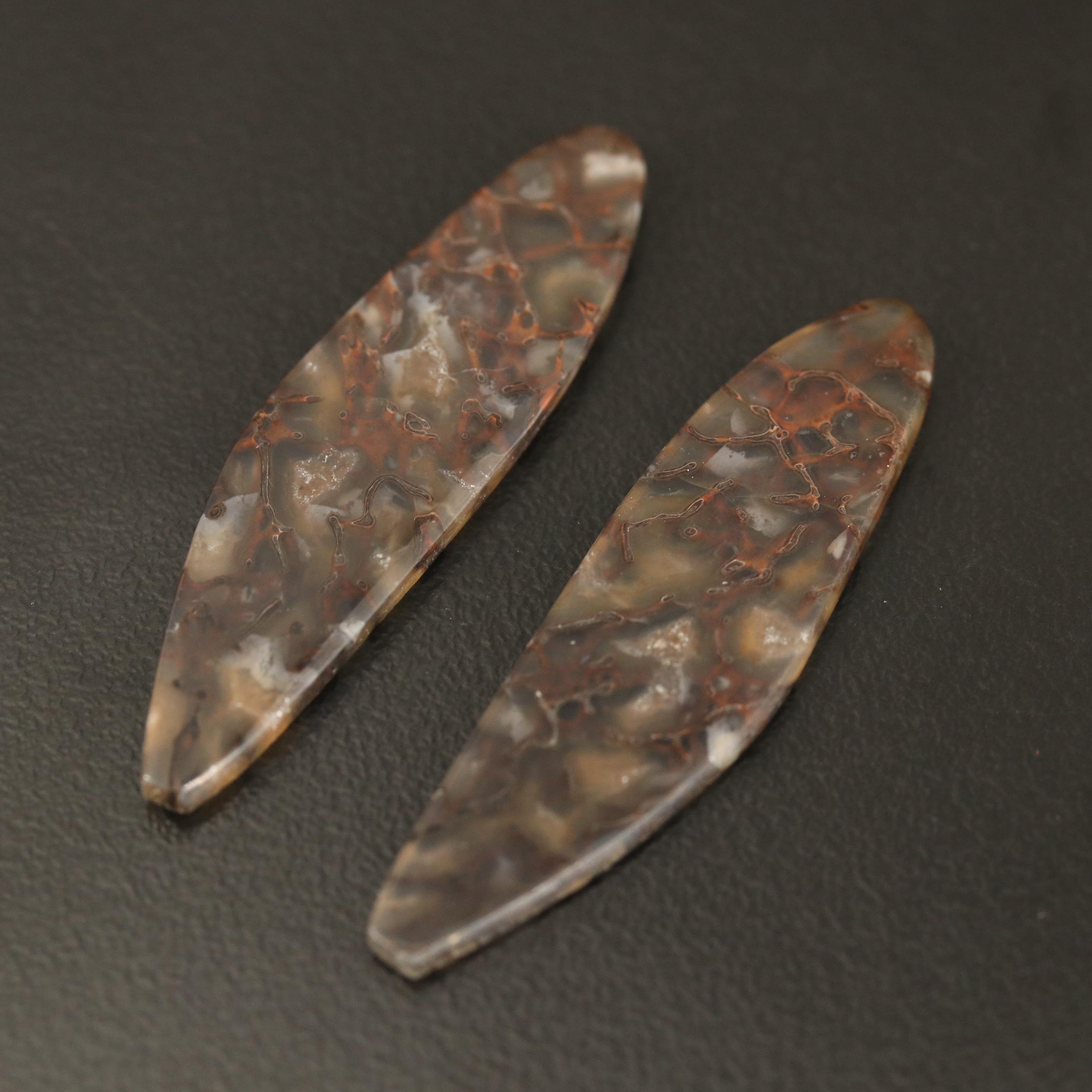 Loose Tablet Dendritic Agates