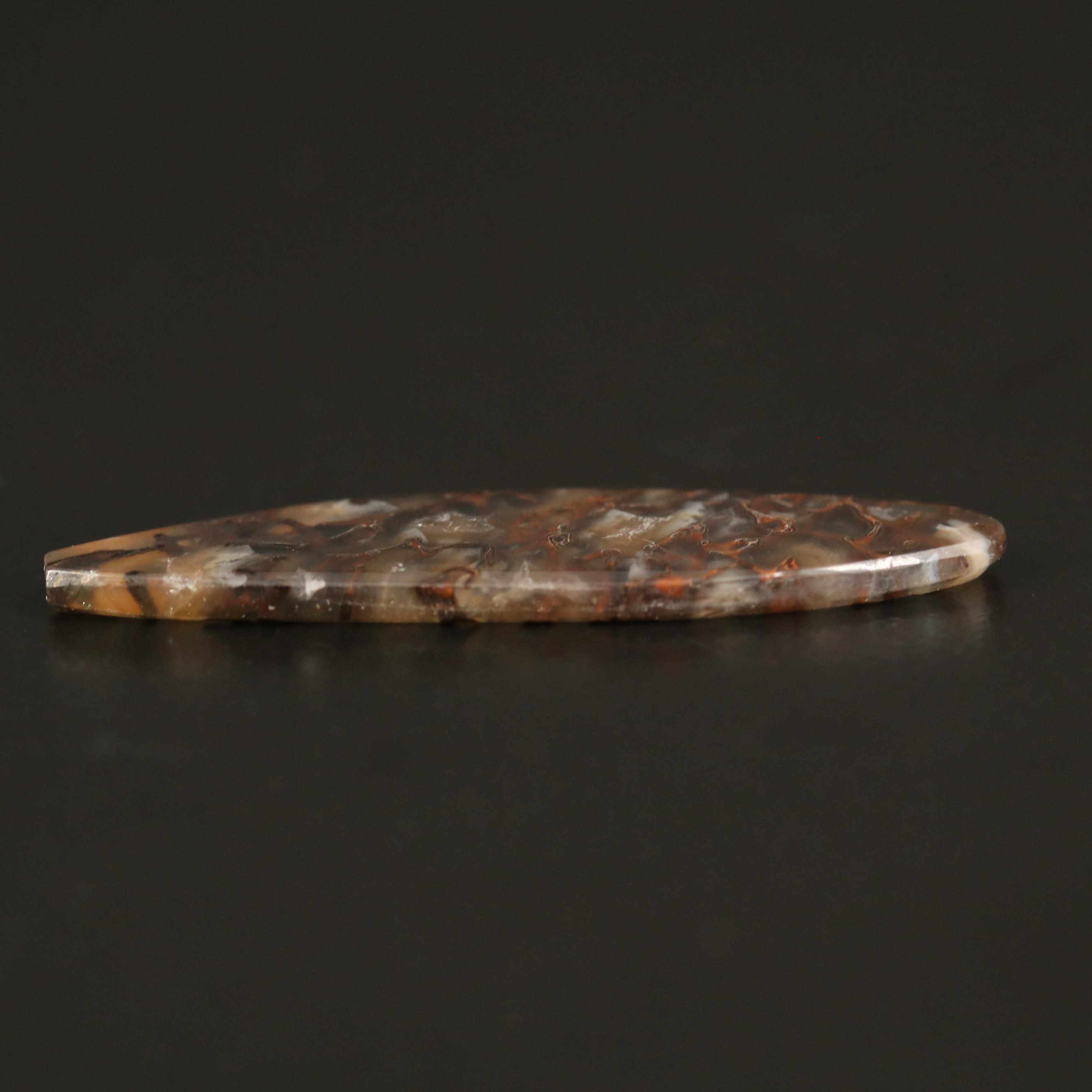 Loose Tablet Dendritic Agates