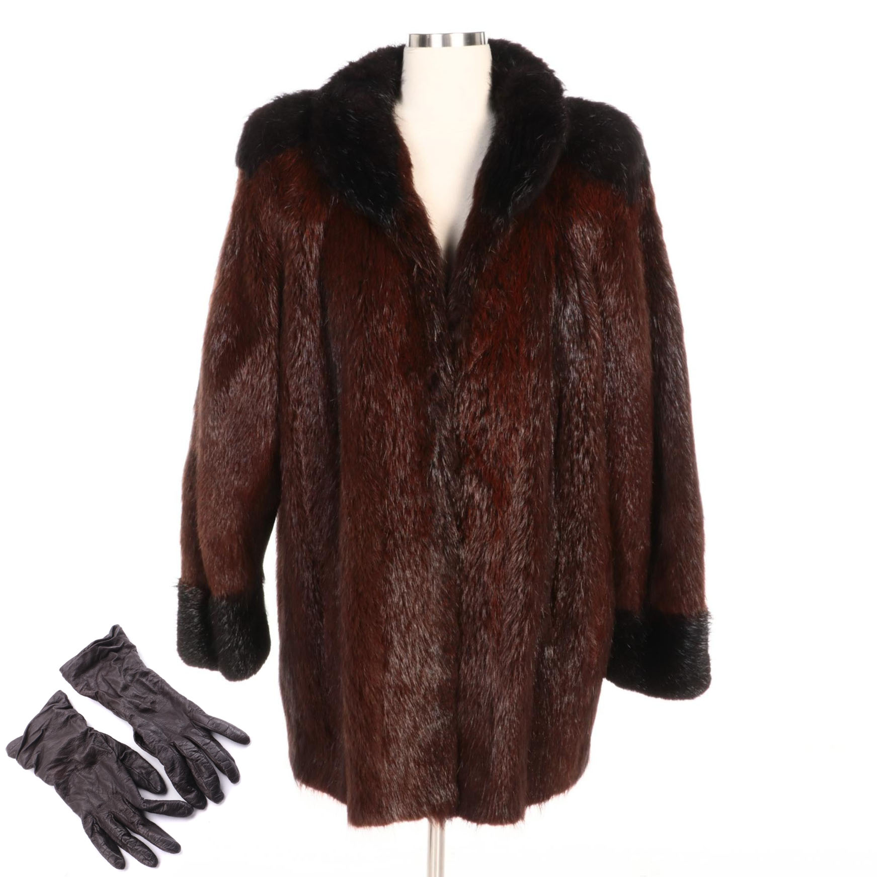 Yves Saint Laurent Beaver Fur Coat for Dennis Furs with Saks Fifth Avenue Gloves