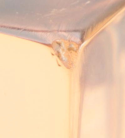 1979 Coca-Cola Commemorative Bottle Cast in Resin