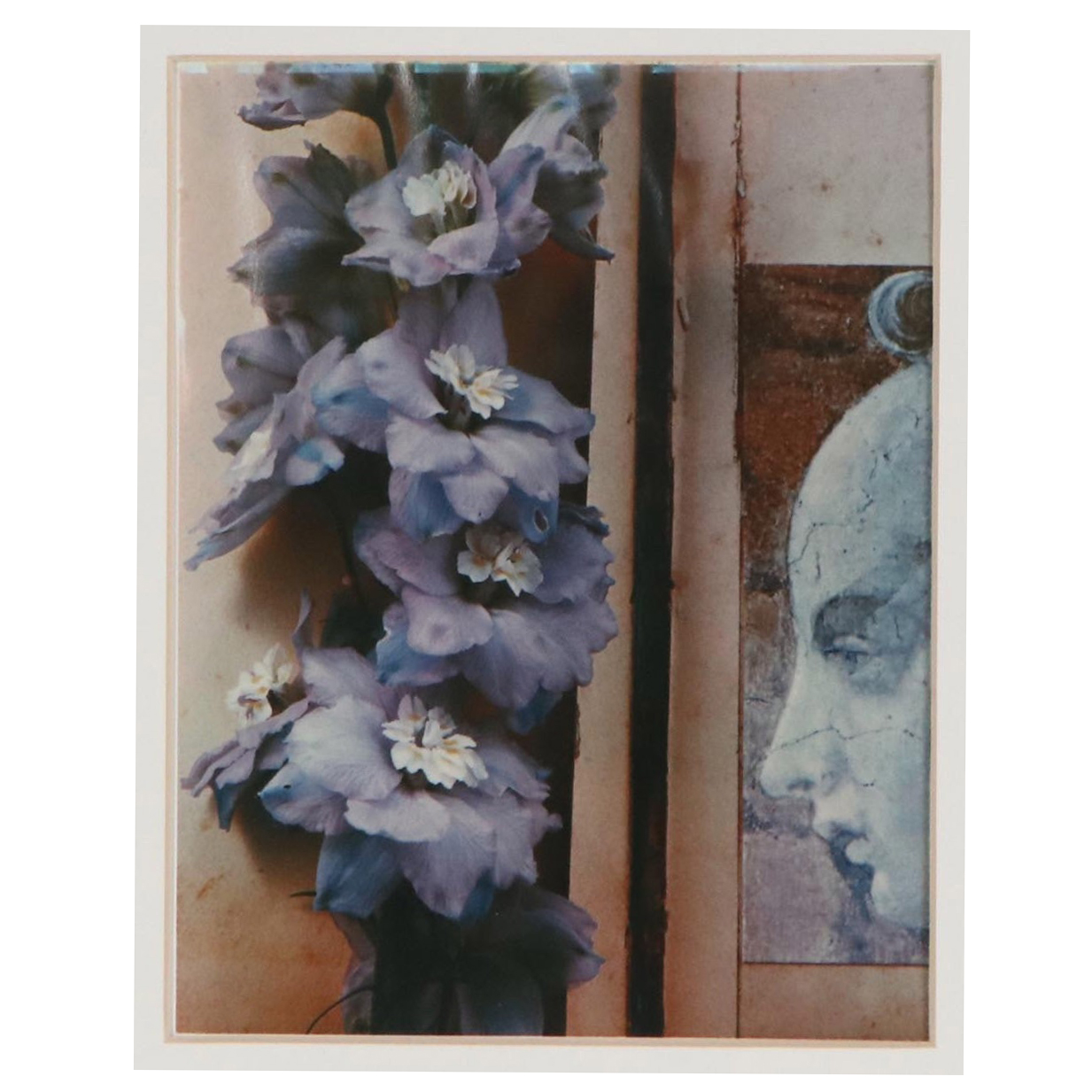 Olivia Parker Color Photograph "Hybrids," 1981