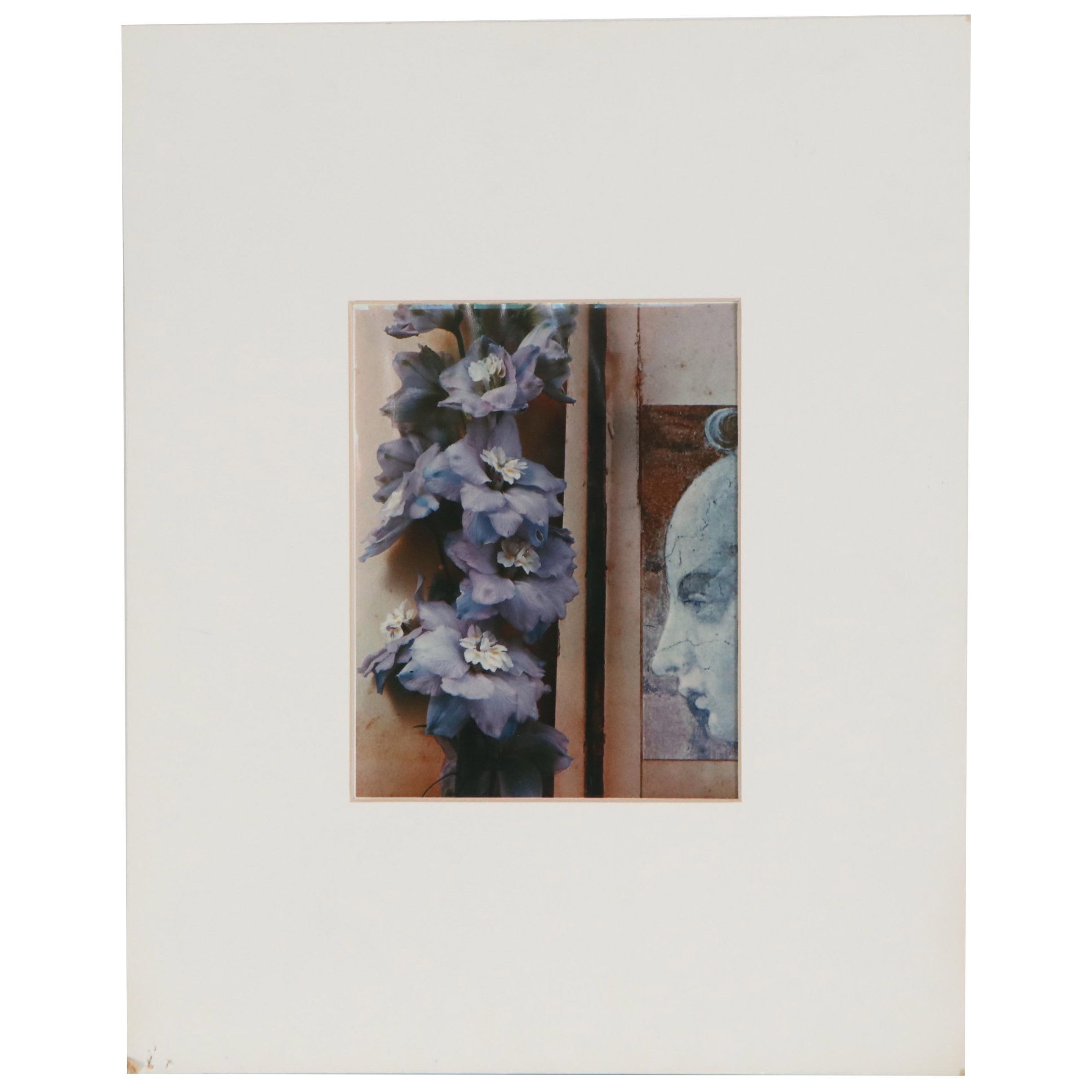 Olivia Parker Color Photograph "Hybrids," 1981