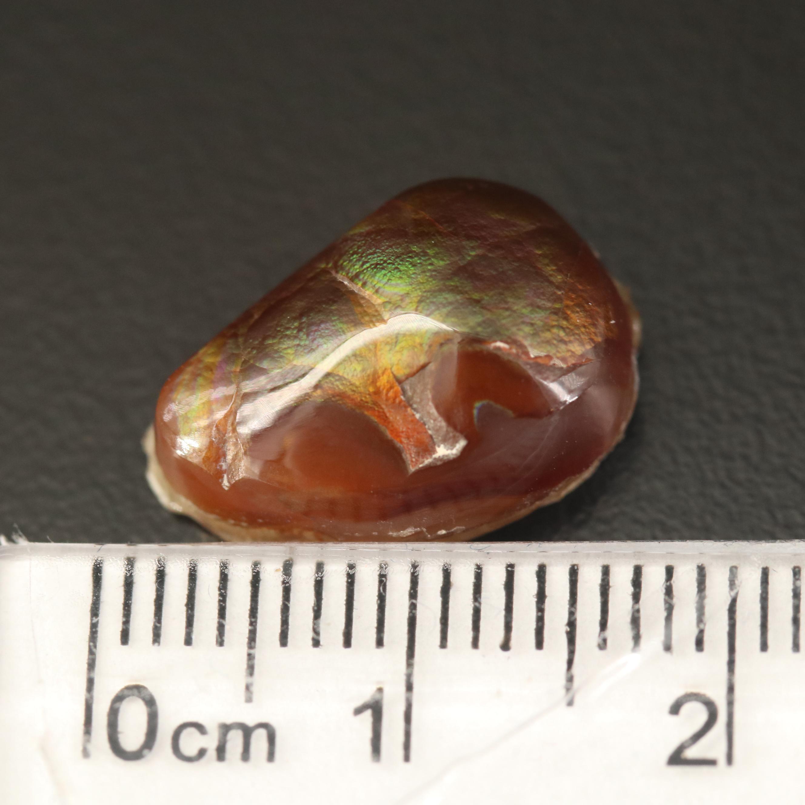 Loose Tumbled Fire Agate
