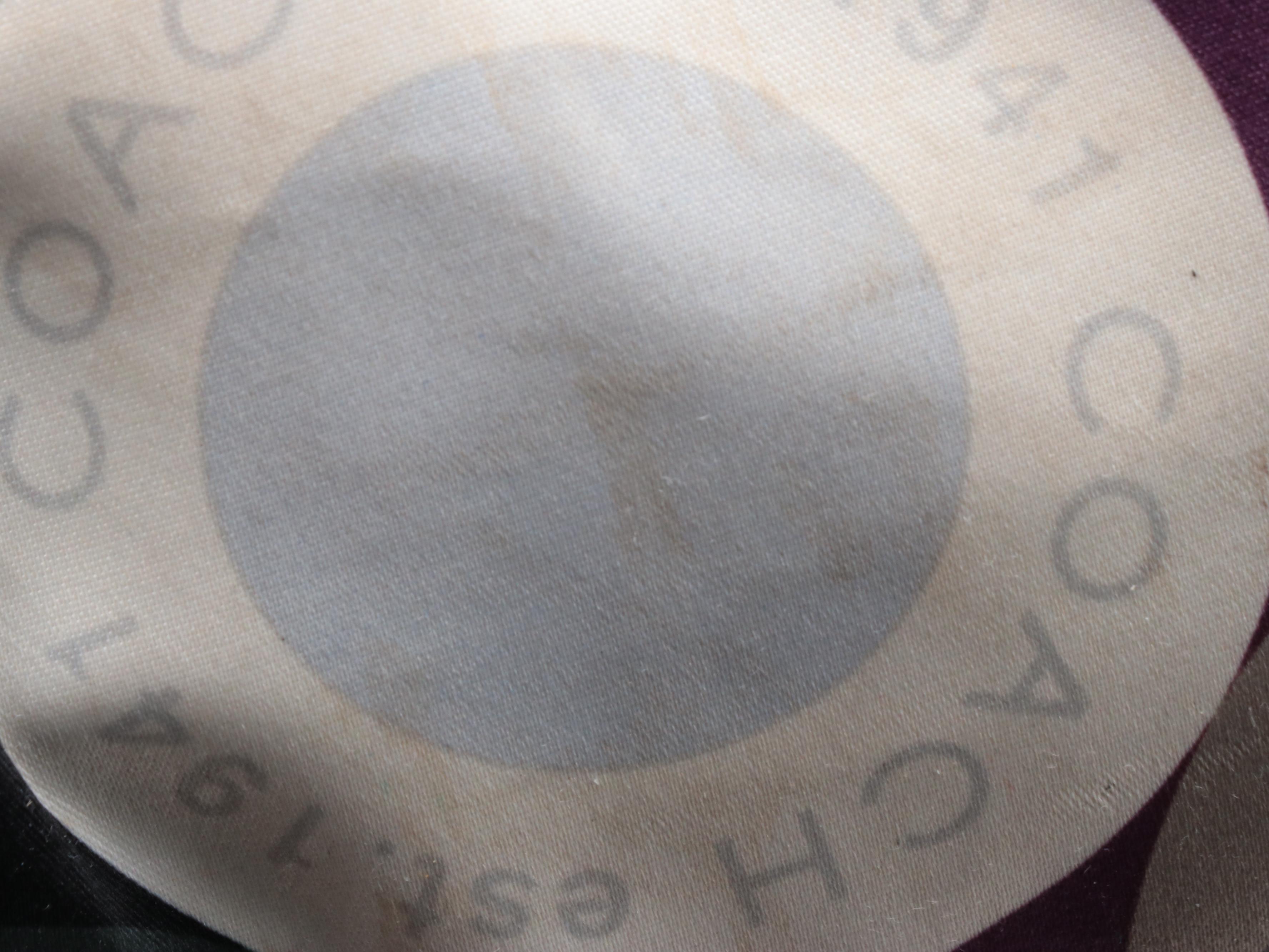 Coach Ashley Snaphead Print Sateen and Black Patent Leather Satchel