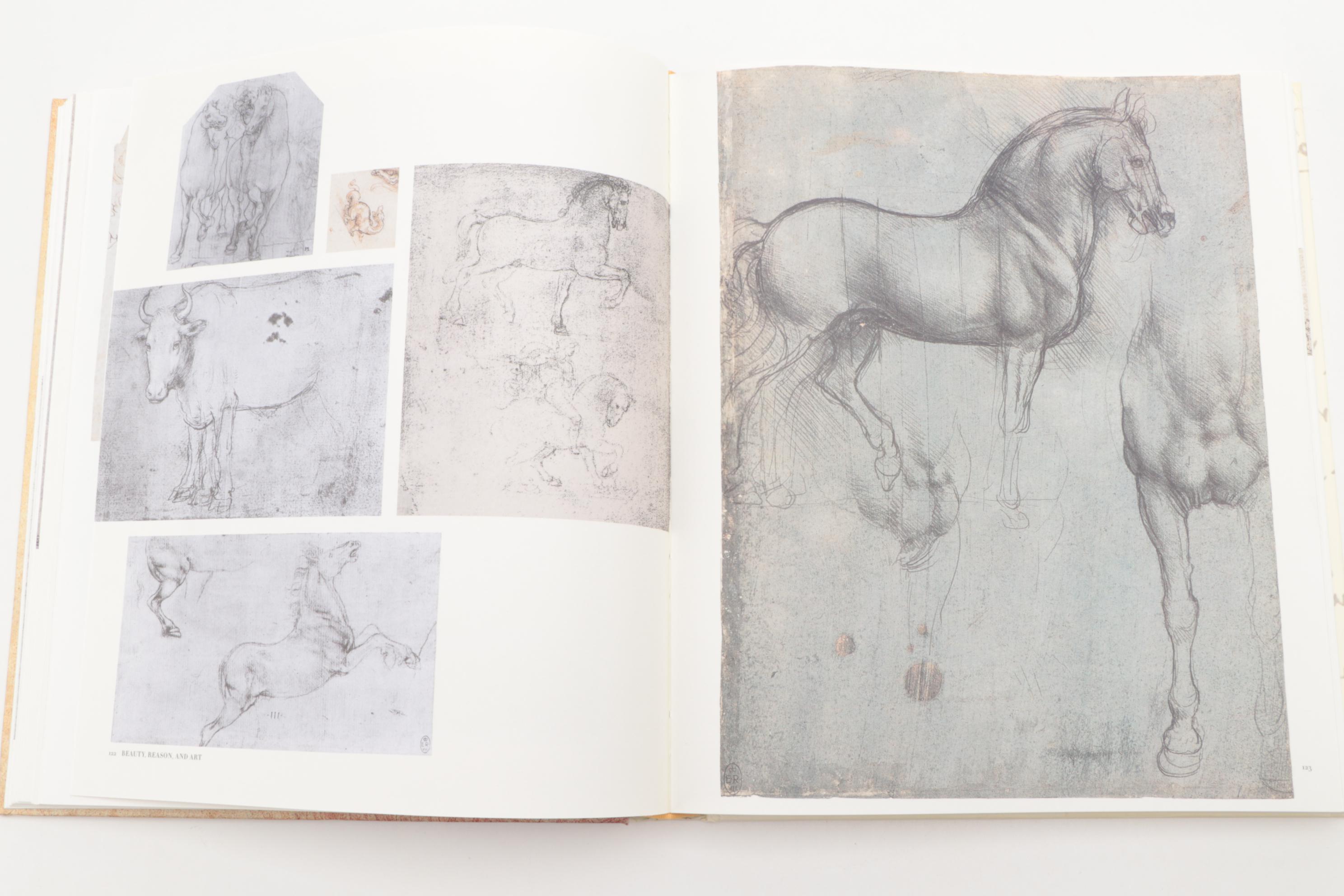 Francisco Goya and Leonardo da Vinci Art Reference Books