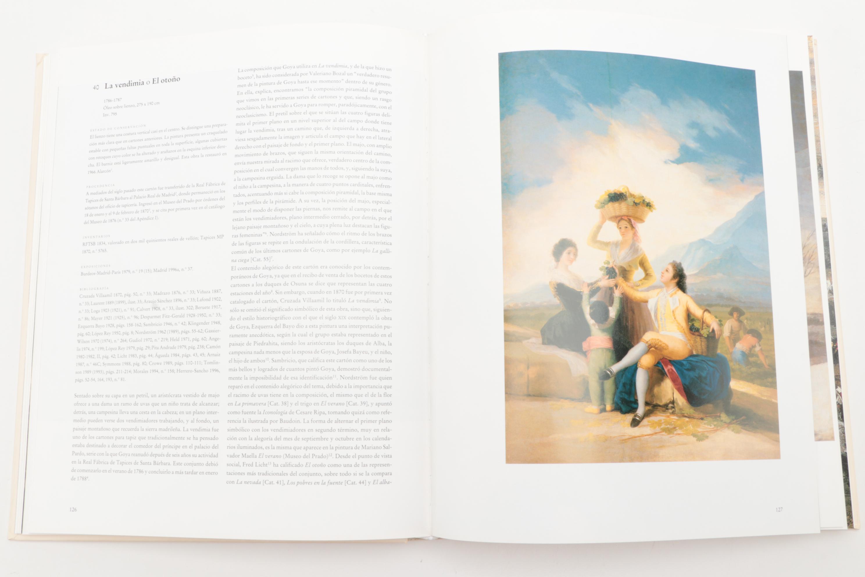 Francisco Goya and Leonardo da Vinci Art Reference Books